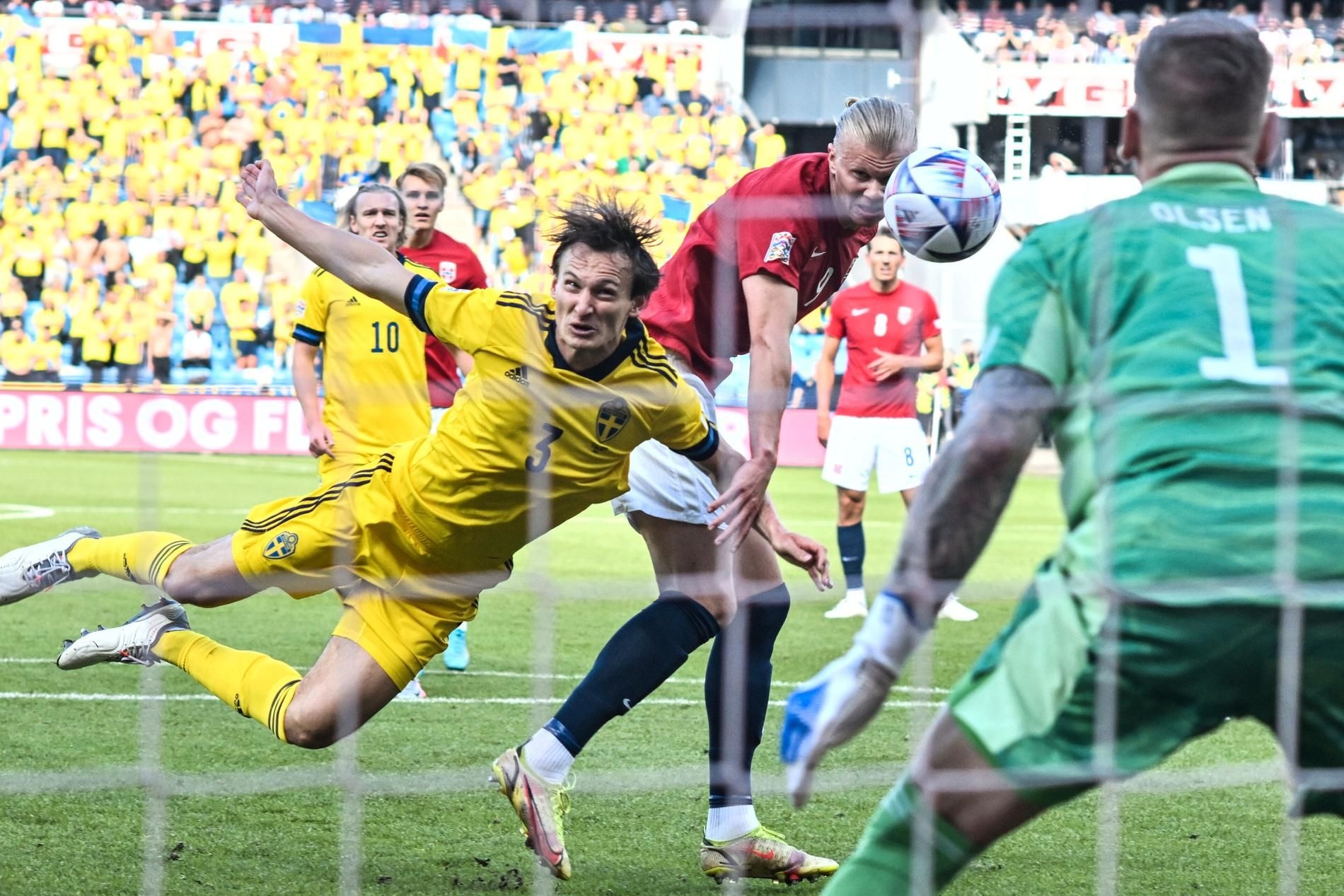 Erling Haaland anh 2