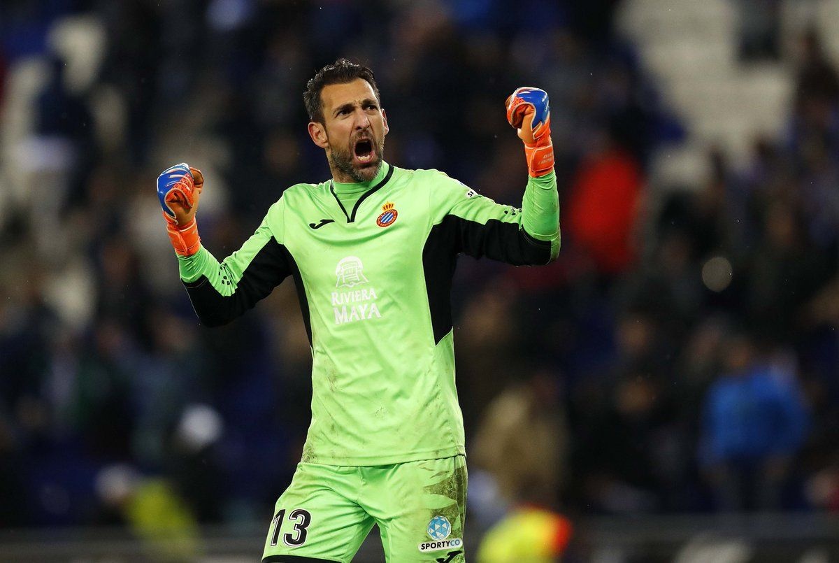 Zlatan Ibrahimovic anh 6