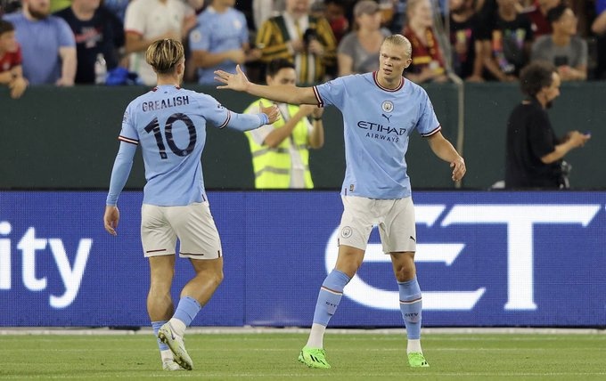 Erling Haaland anh 1