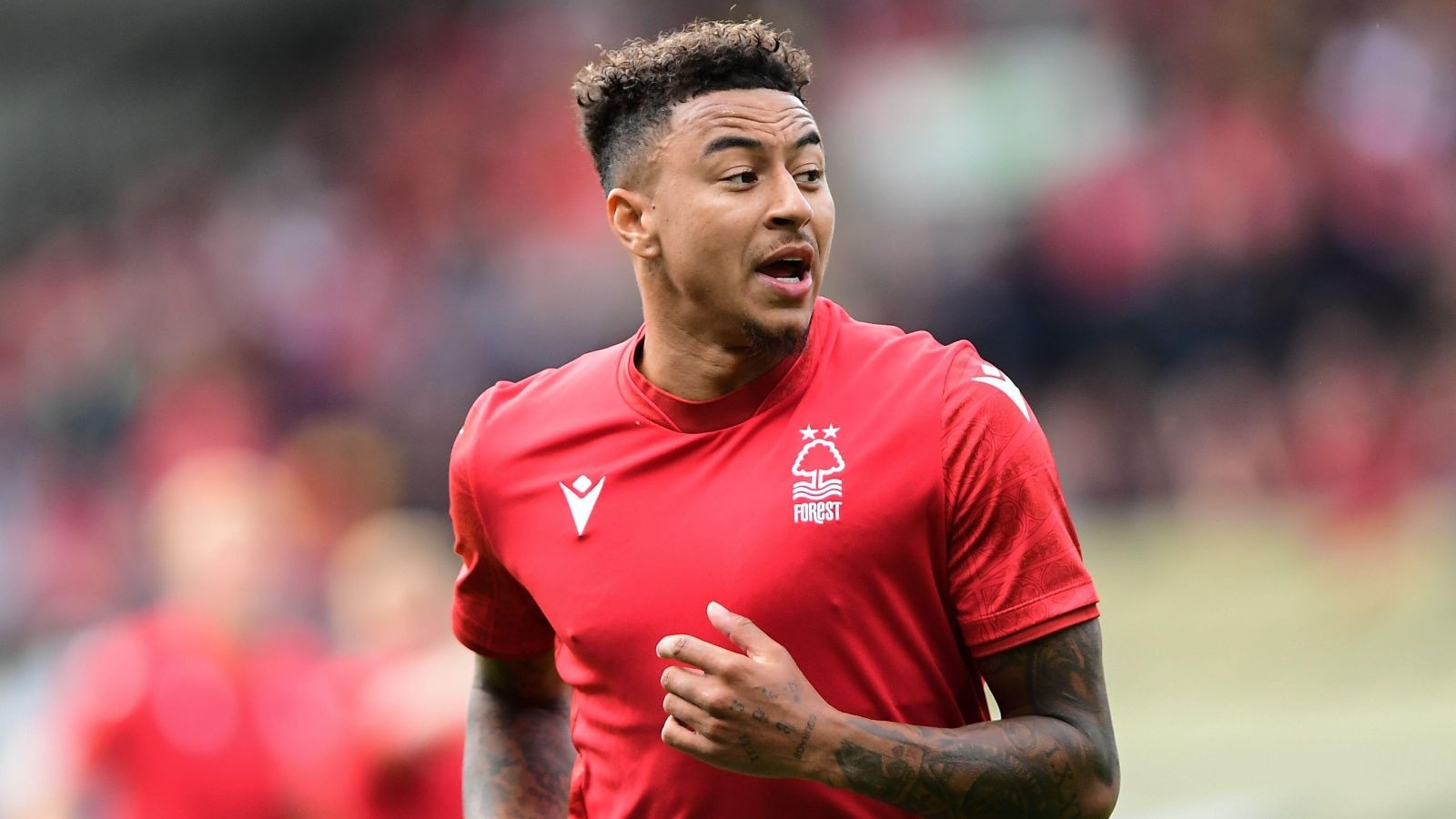 Nottingham Forest anh 3