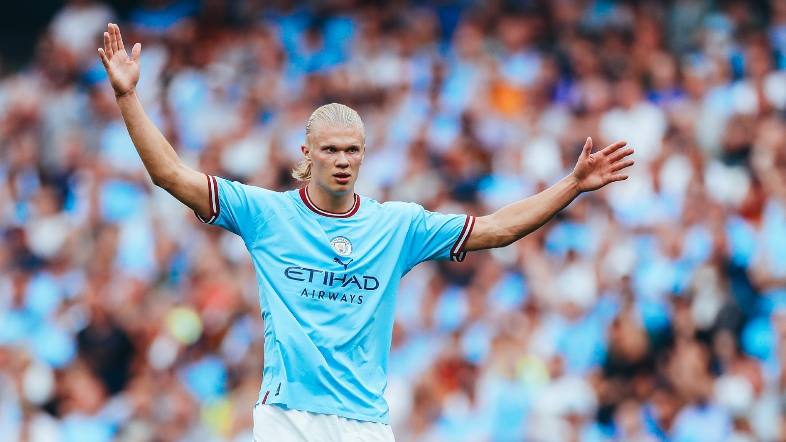 Erling Haaland anh 9