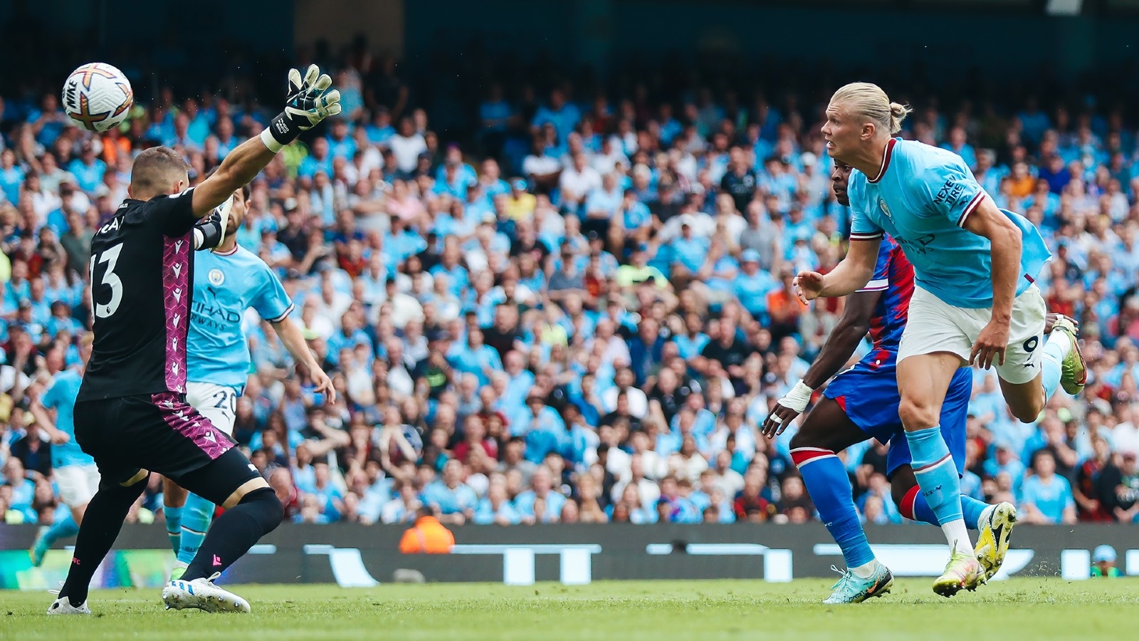 Erling Haaland anh 8