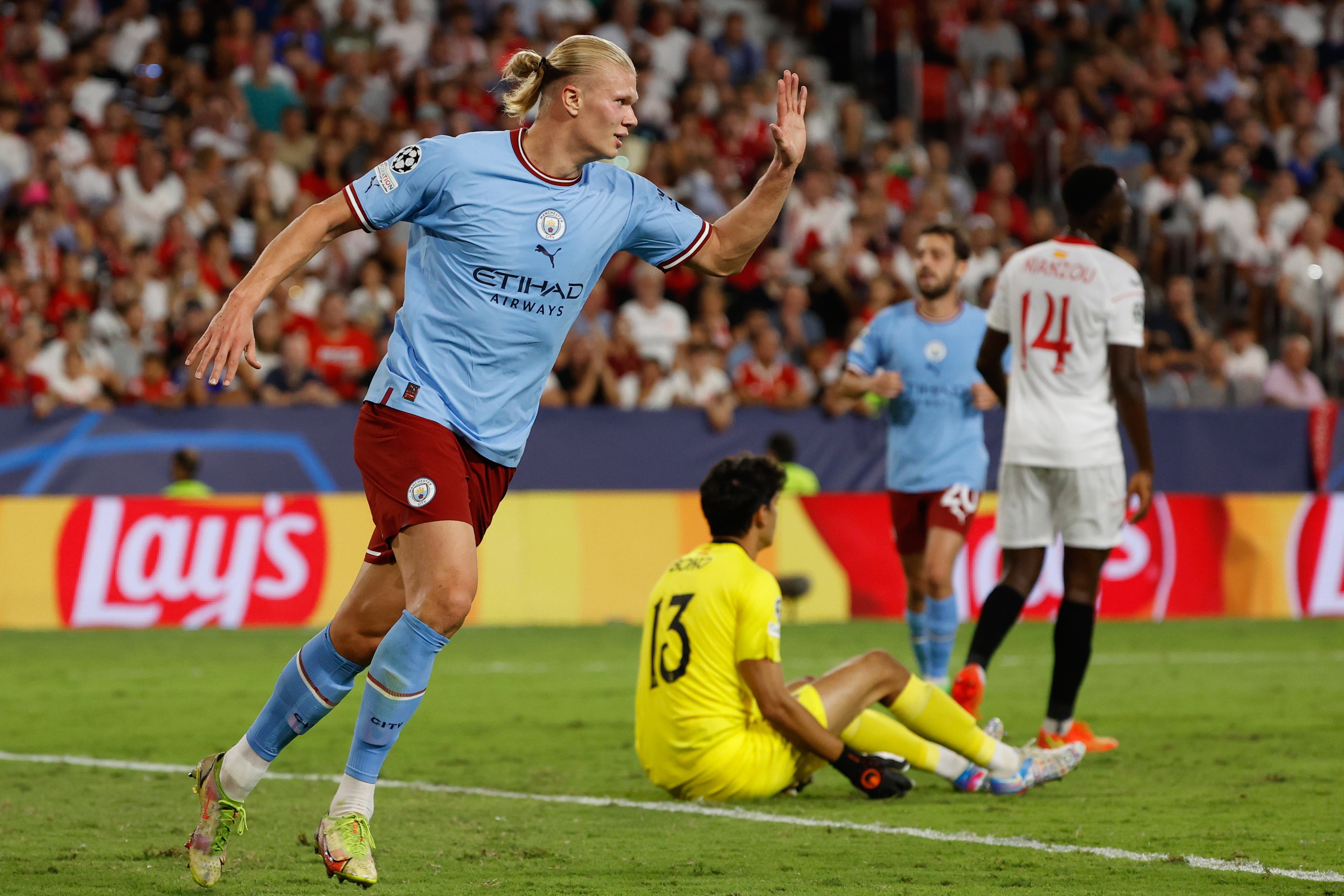 Erling Haaland anh 1