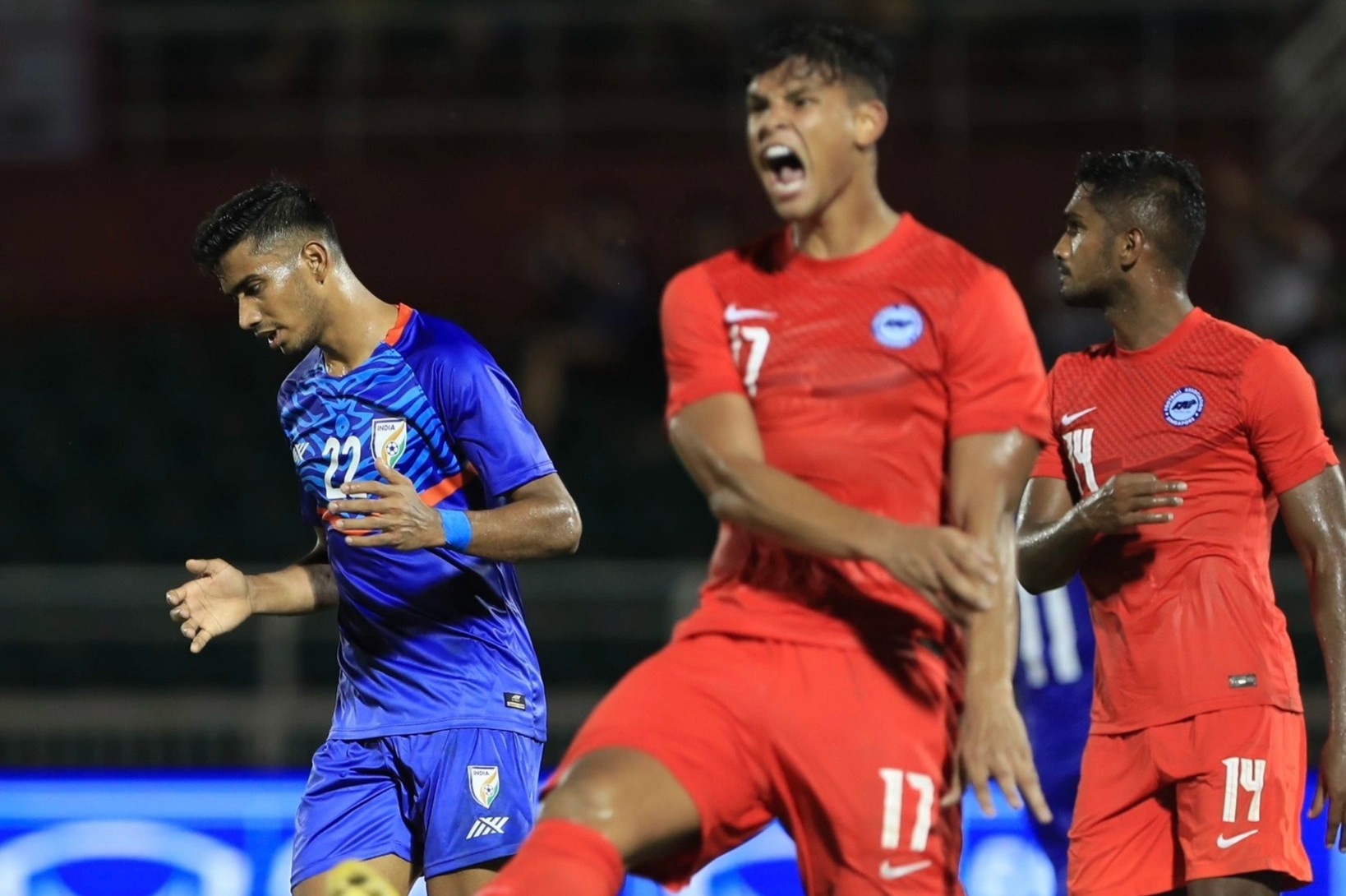 Singapore gay bat ngo khi cam hoa An Do hinh anh