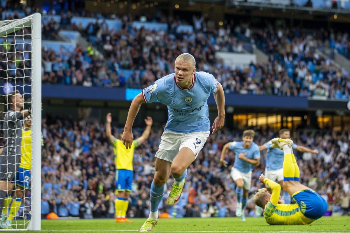 Erling Haaland anh 1