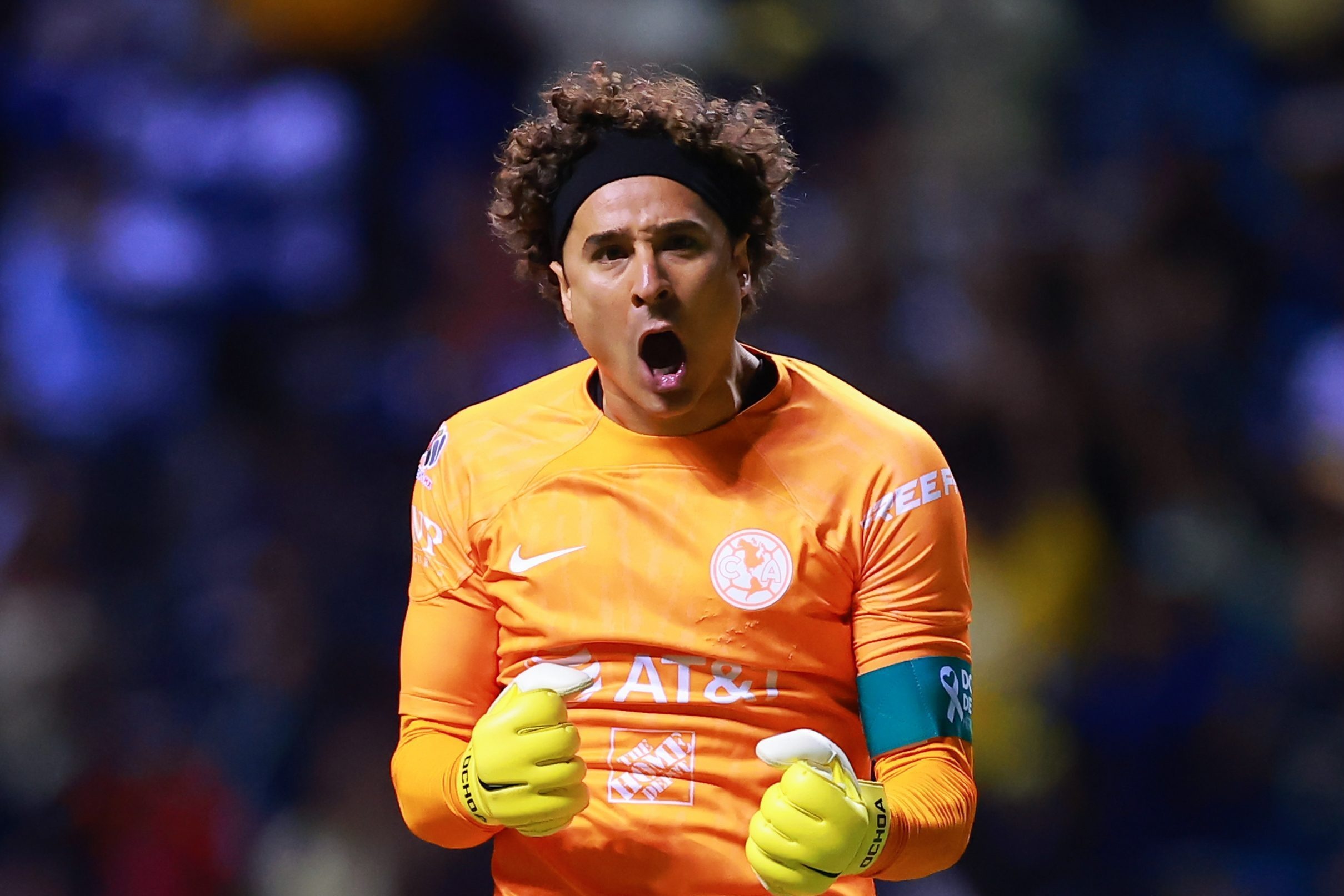 Guillermo Ochoa anh 9