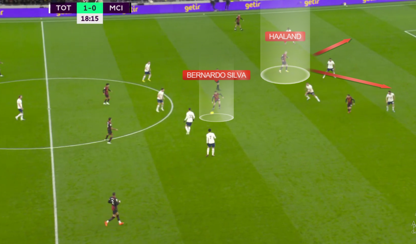 Erling Haaland anh 2