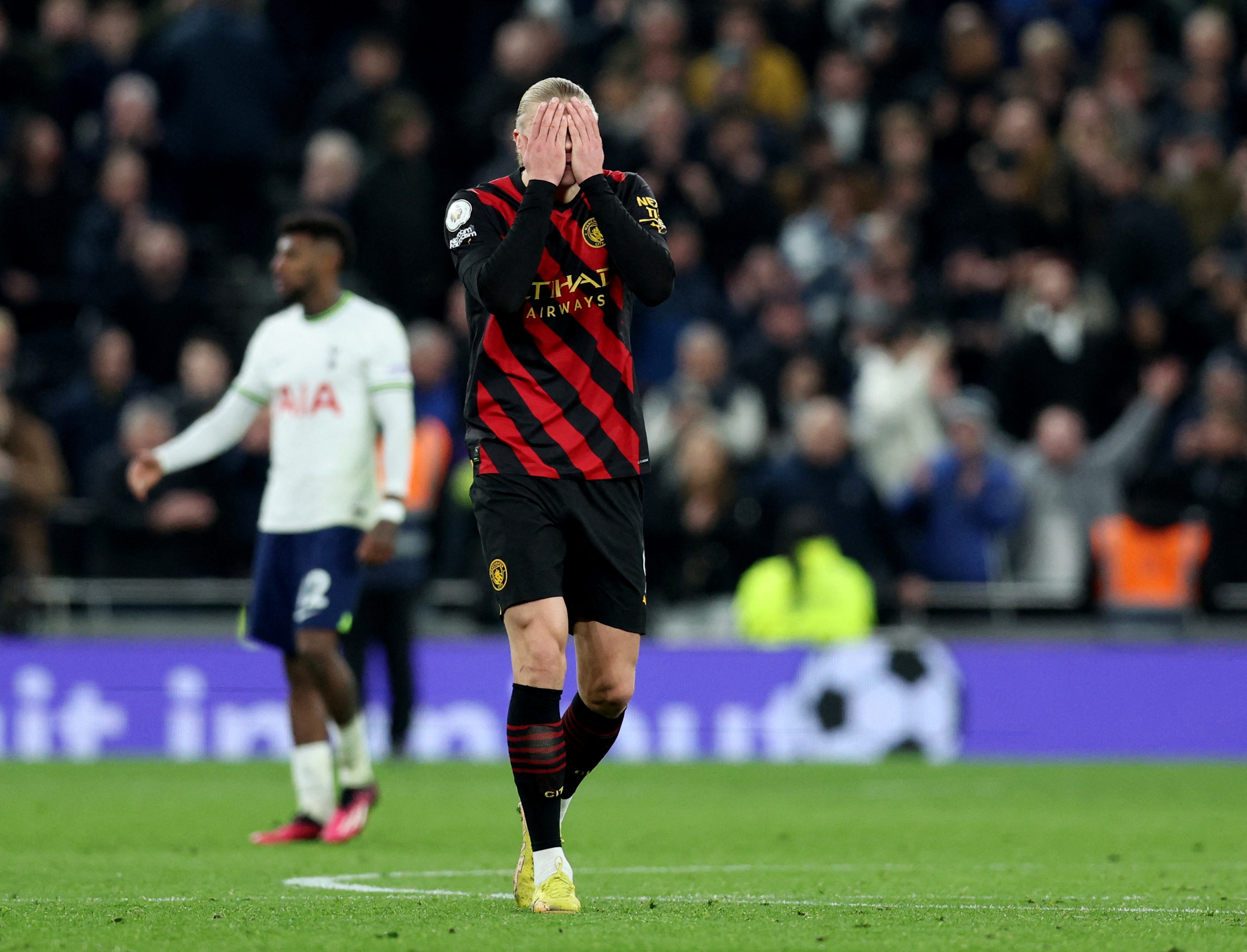 Erling Haaland anh 1