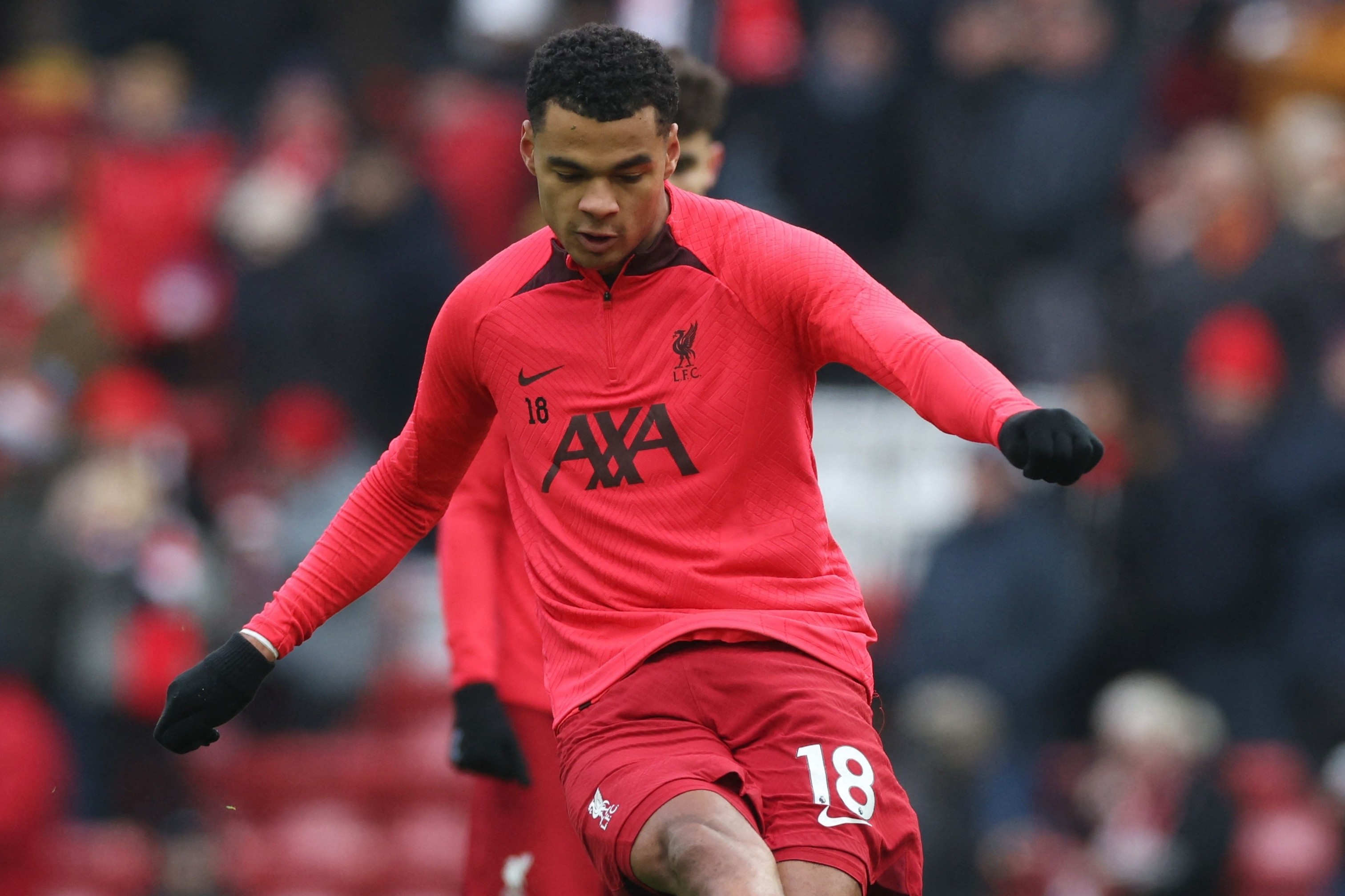 Gakpo dap tra khi bi Van Nistelrooy che chon doi sai hinh anh