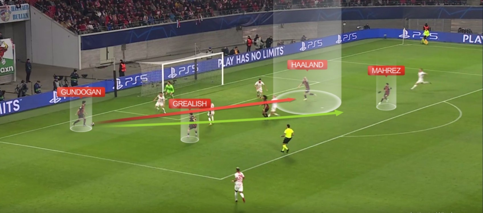 Erling Haaland anh 1