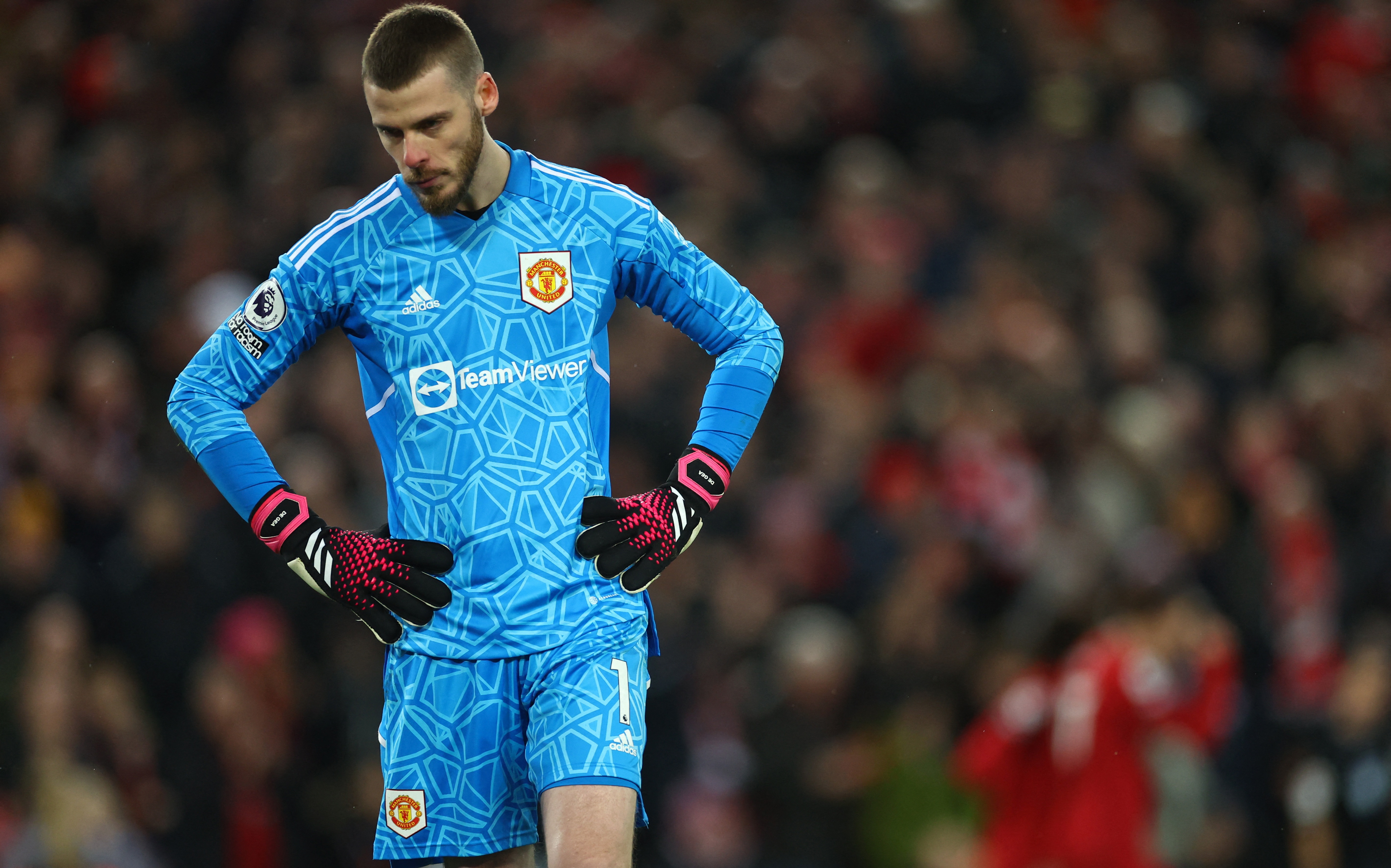 David de Gea anh 3