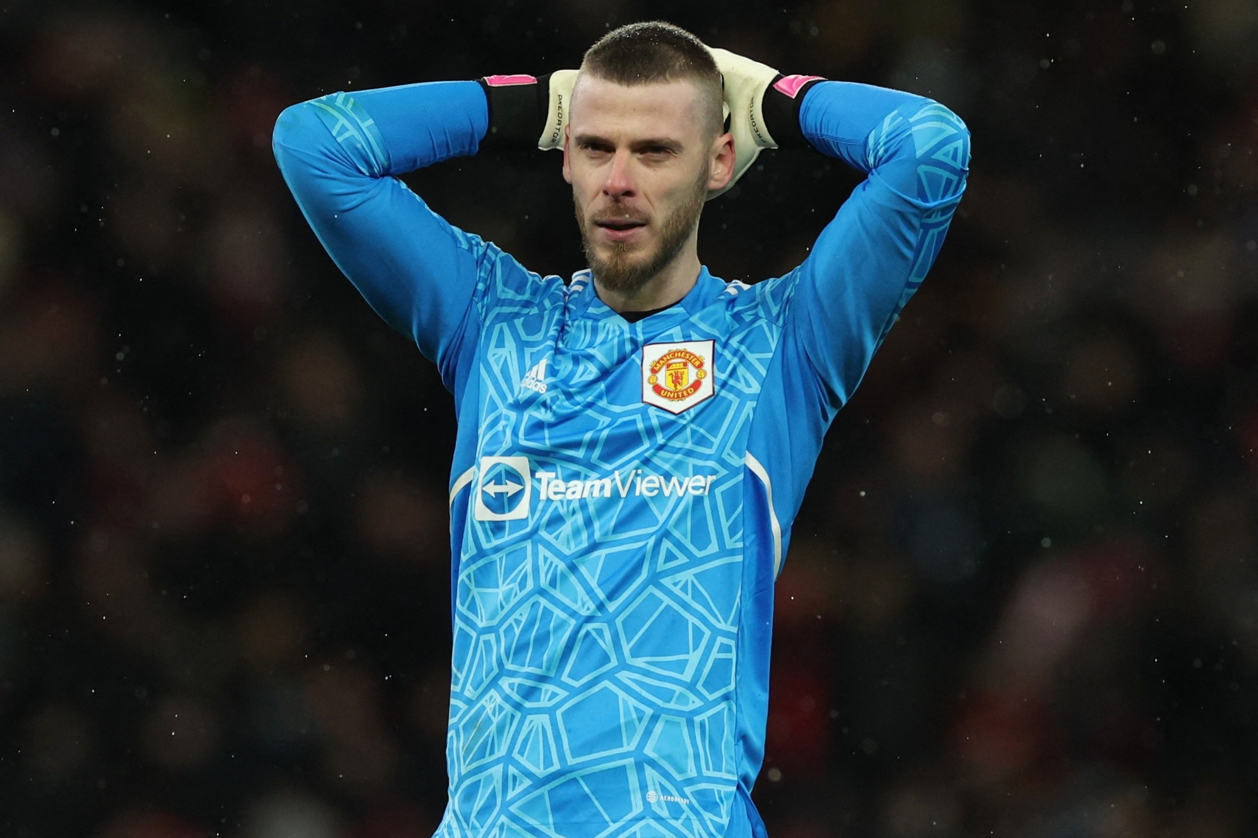 MU nham hai thu mon thay De Gea hinh anh