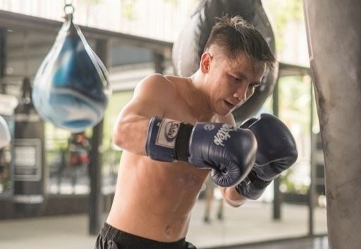 Truong Dinh Hoang anh 1