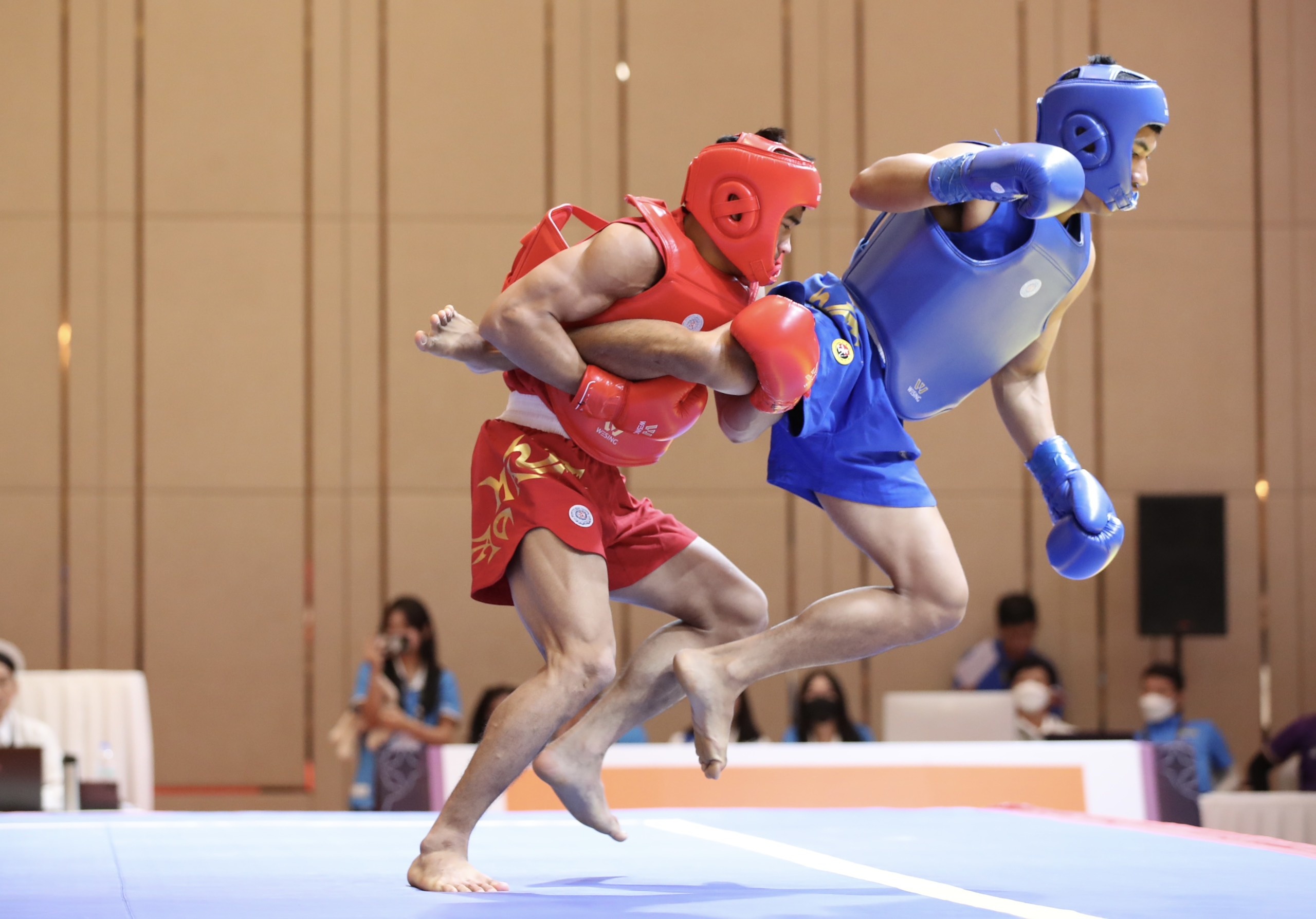 SEA Games ảnh 15 SEA Games anh 15