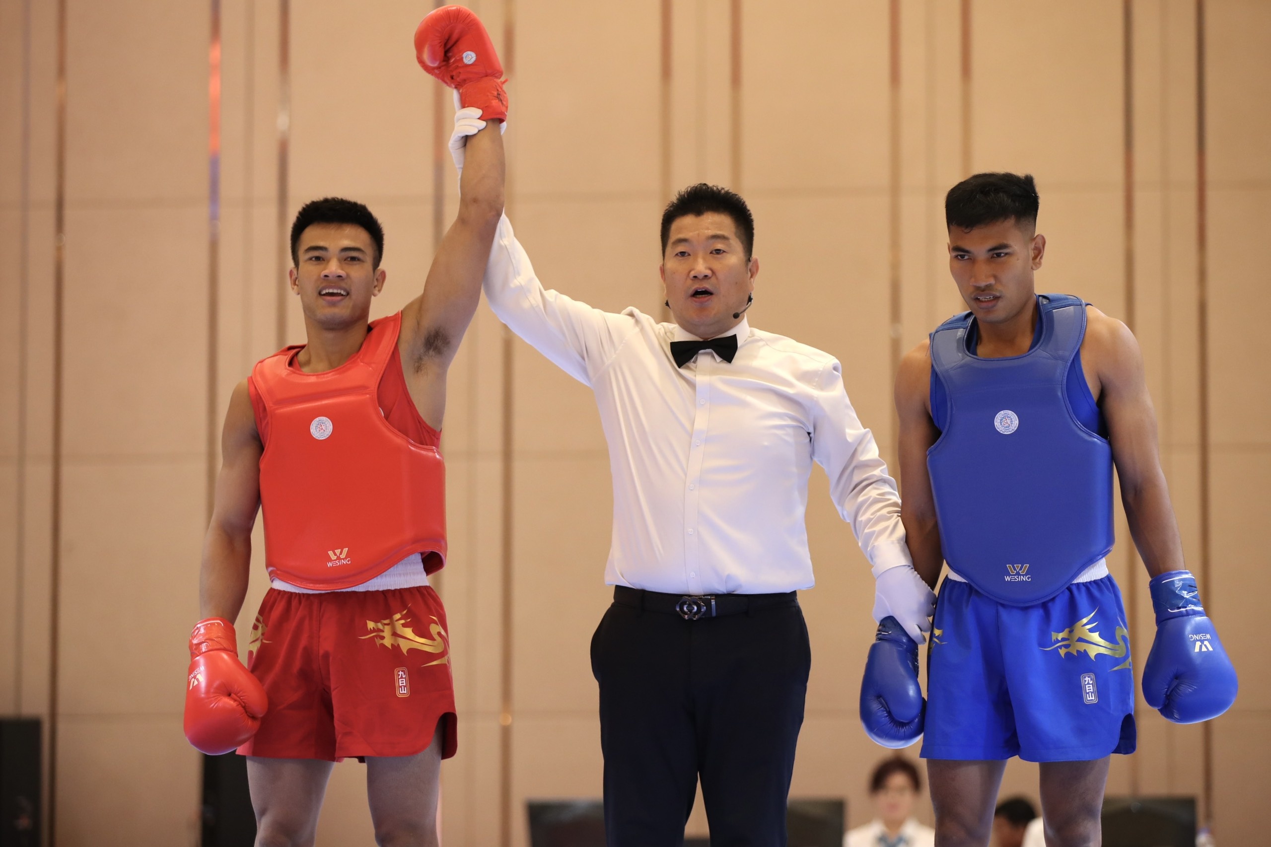 SEA Games ảnh 17 SEA Games anh 17