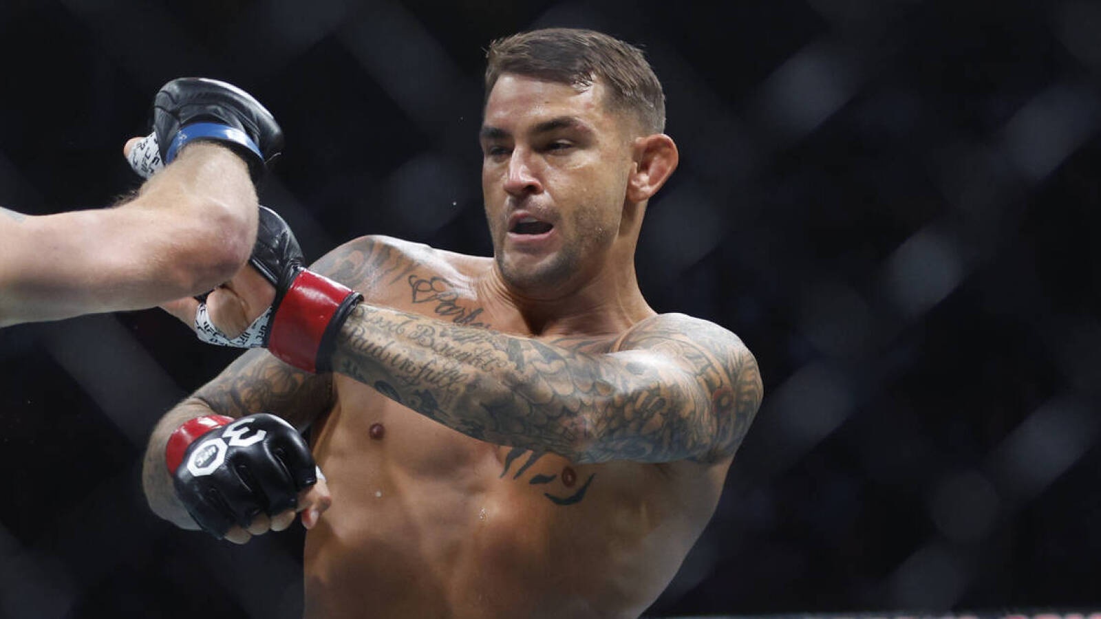 Dustin Poirier chua het thoi hinh anh