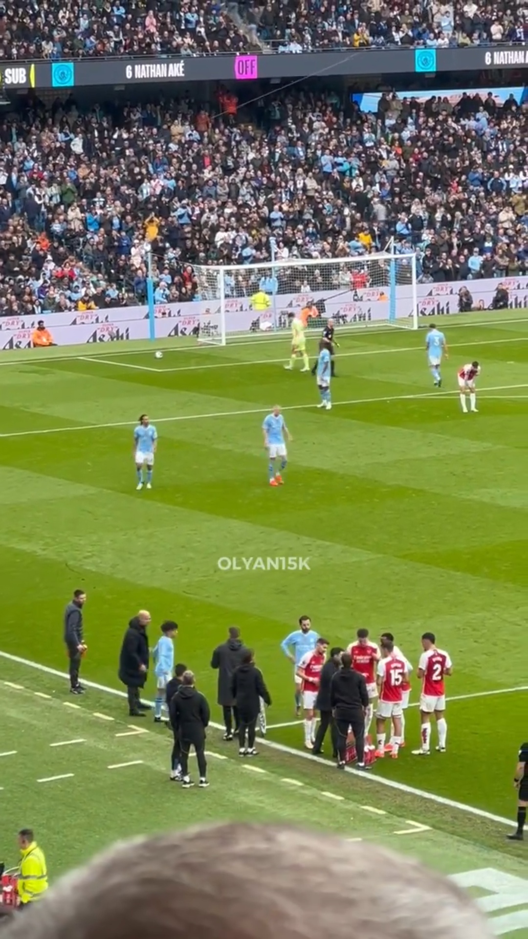 Bernardo Silva anh 1