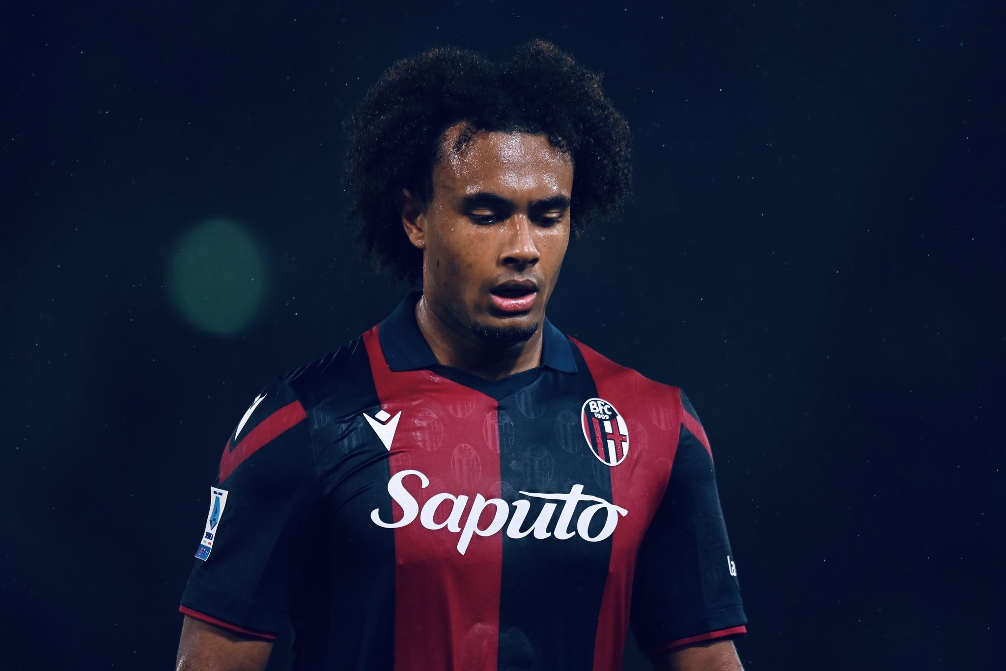 HLV tuyen Ha Lan gay soc hinh anh