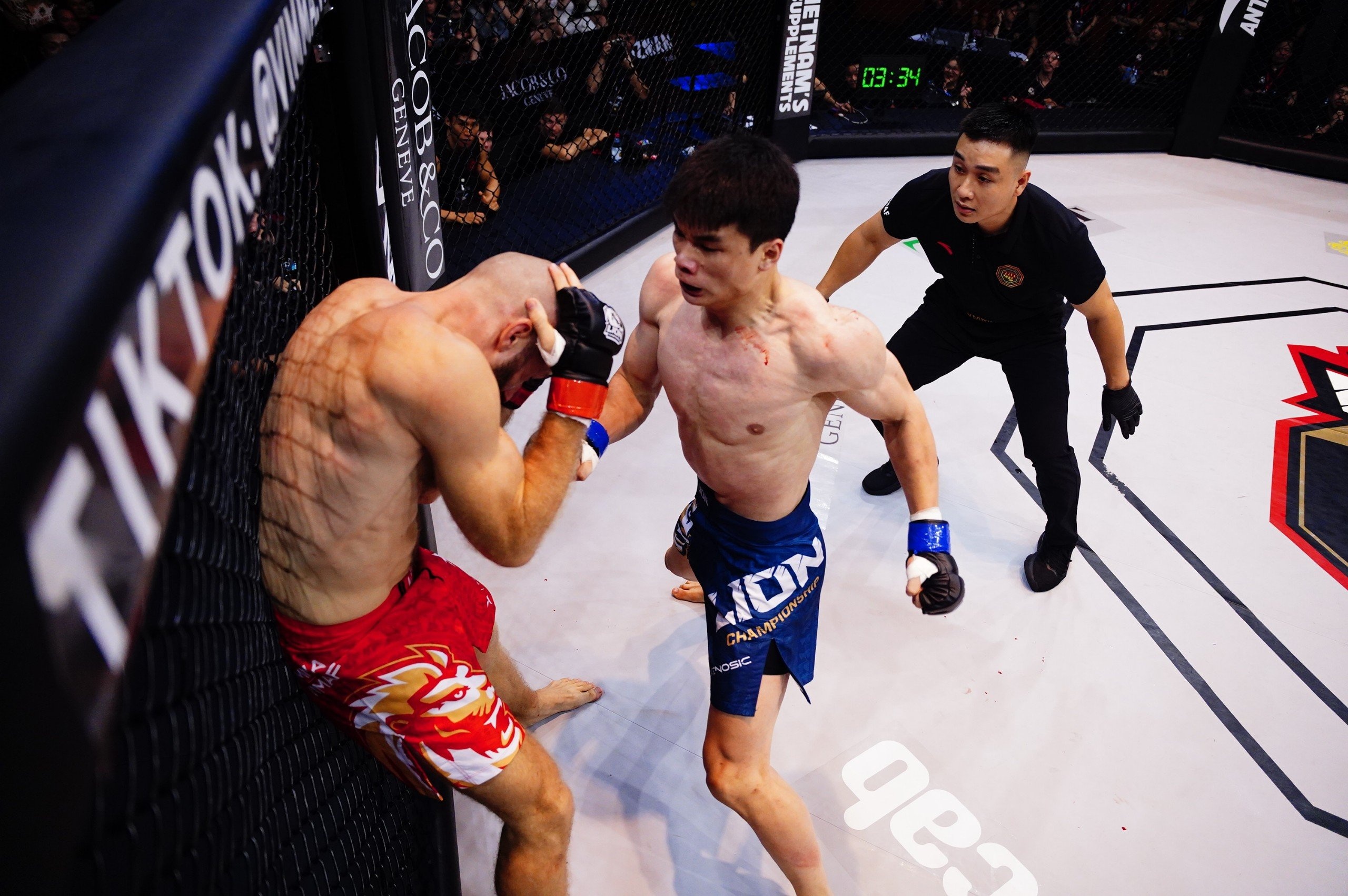 Vo si MMA Viet Nam ha guc doi thu nguoi Duc hinh anh