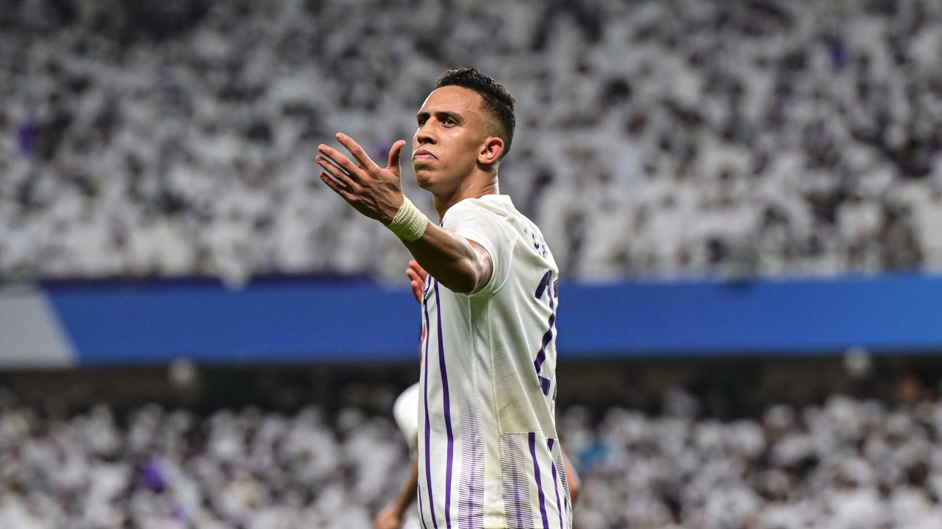 AFC Champions League anh 4