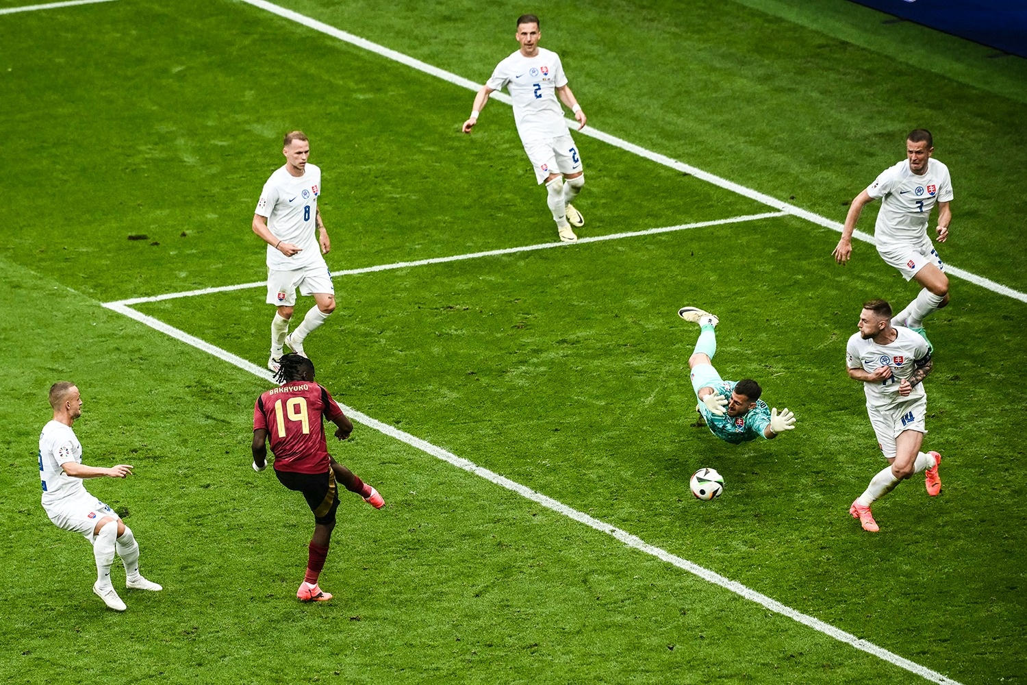 Bi dau Slovakia anh 7