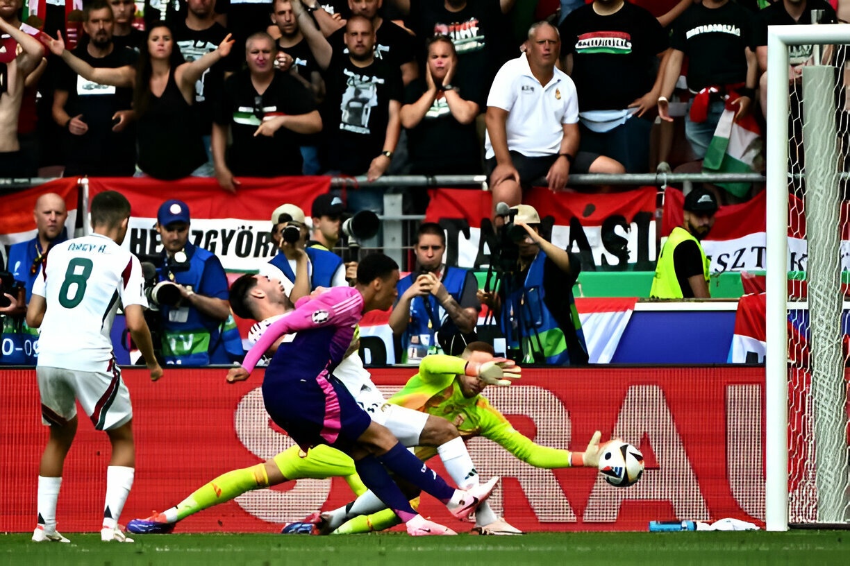 Duc vs Hungary anh 3