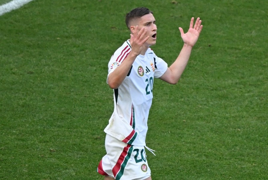 Duc vs Hungary anh 7