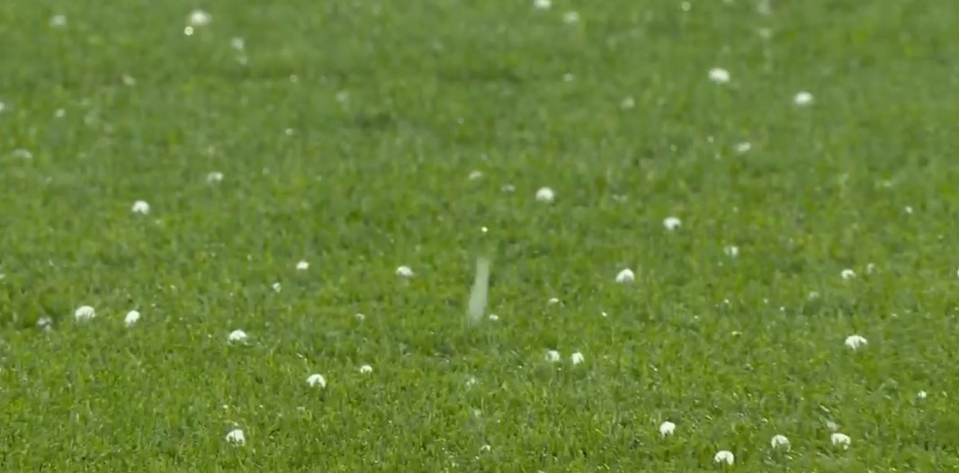 Duc dau Dan Mach anh 3