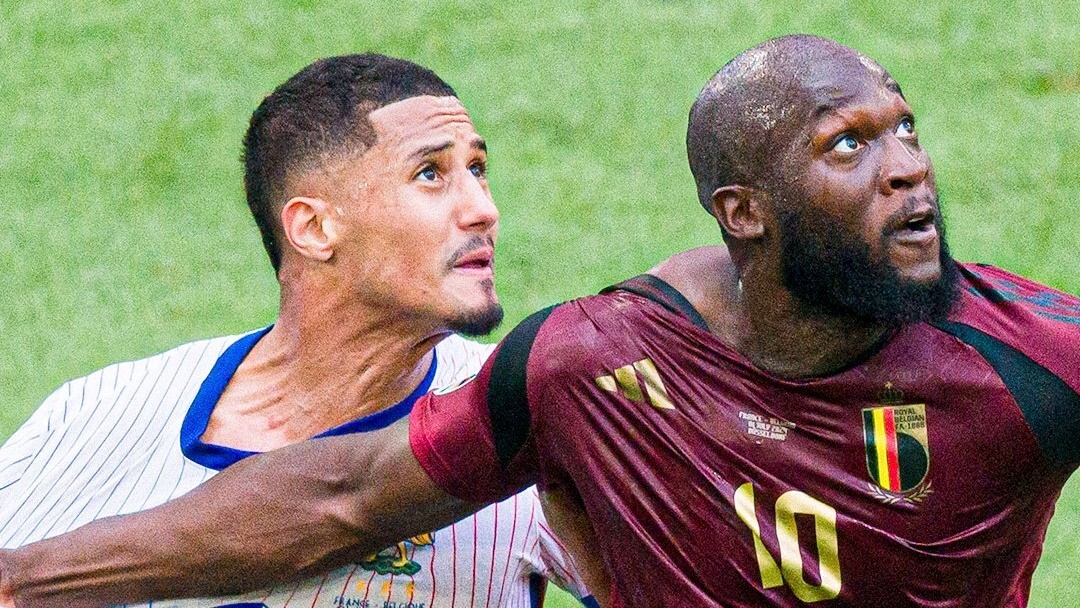 Phap se vo dich EURO nho cham ngon cua Sir Alex? hinh anh