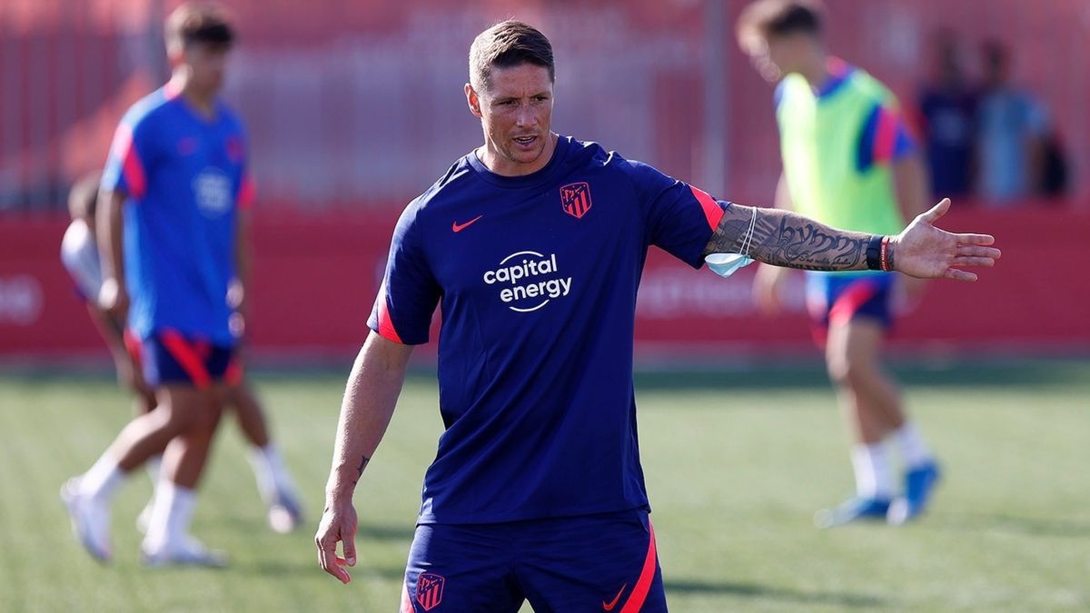 Fernando Torres anh 1