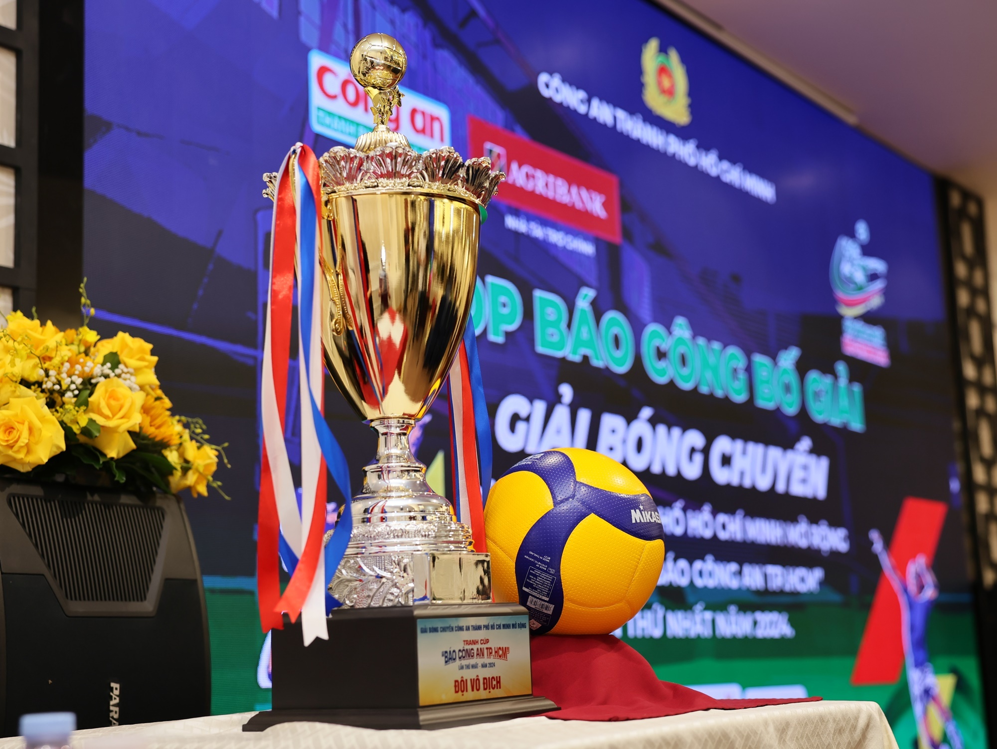 San choi moi cho cac doi bong chuyen phia Nam hinh anh