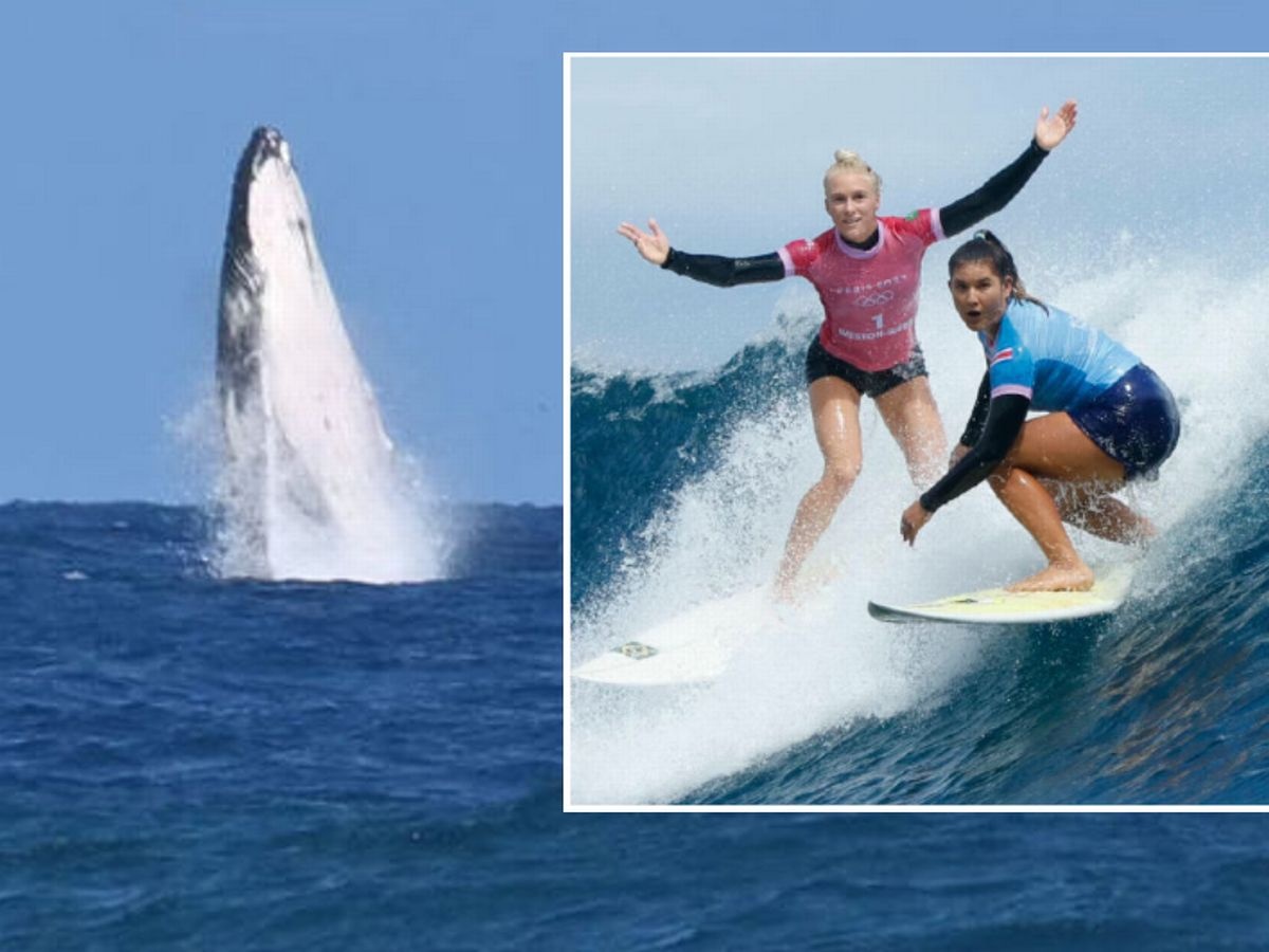 Khoanh khac dang kinh ngac tai Olympic 2024 hinh anh