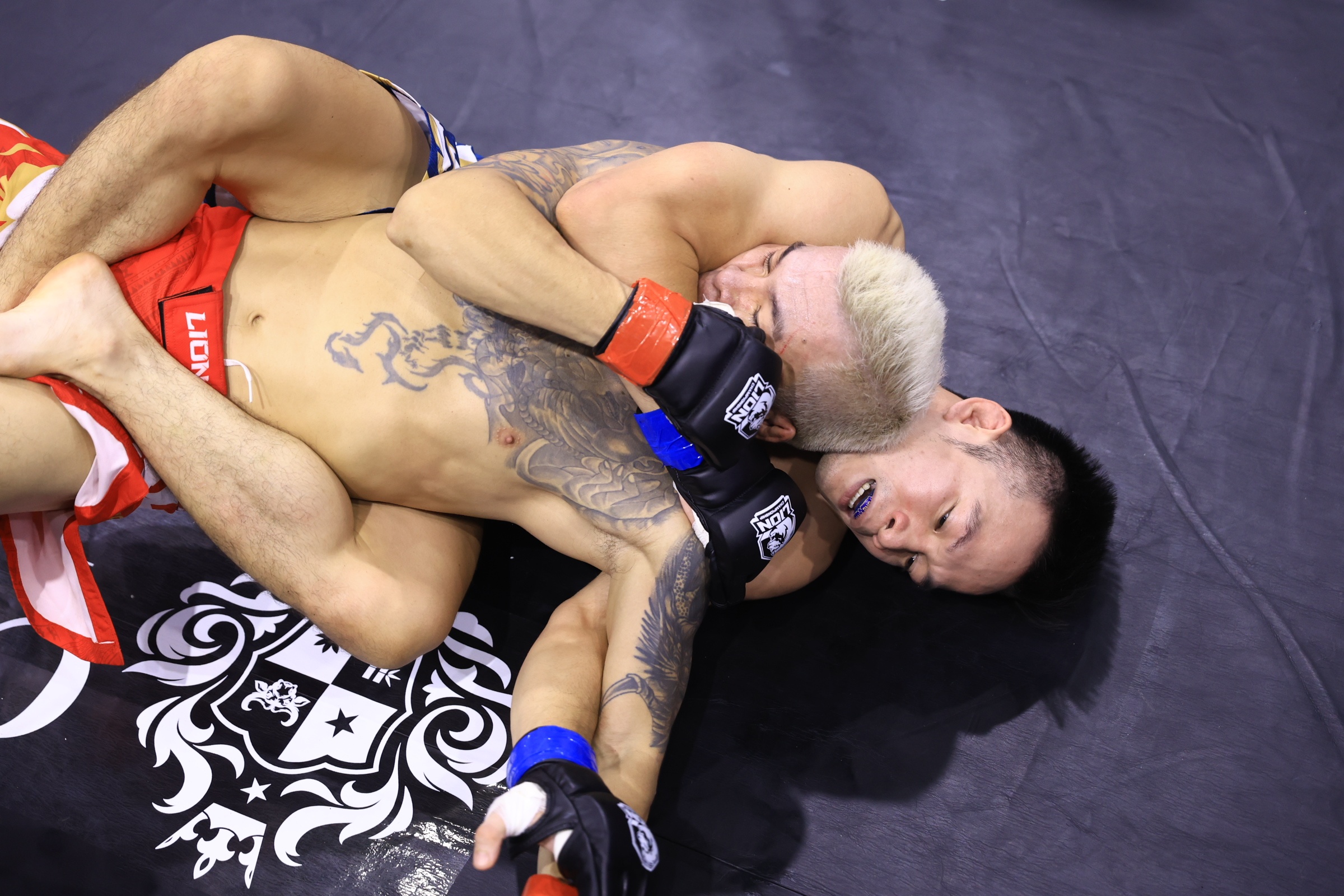 Don be tay ha guc hoc tro Johnny Tri Nguyen hinh anh