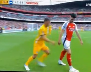 Rice nhan the do anh 1