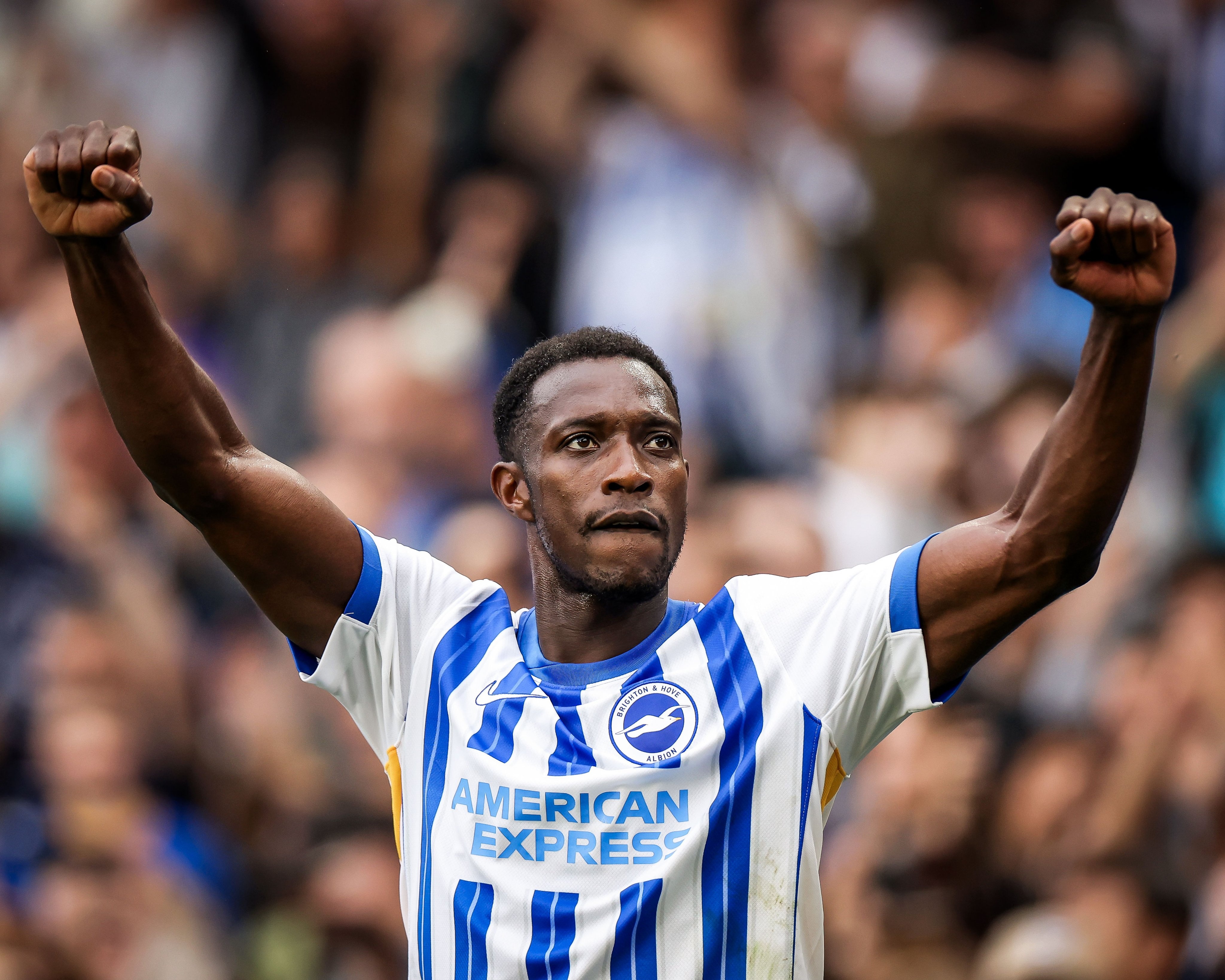 Welbeck gay ngac nhien hinh anh