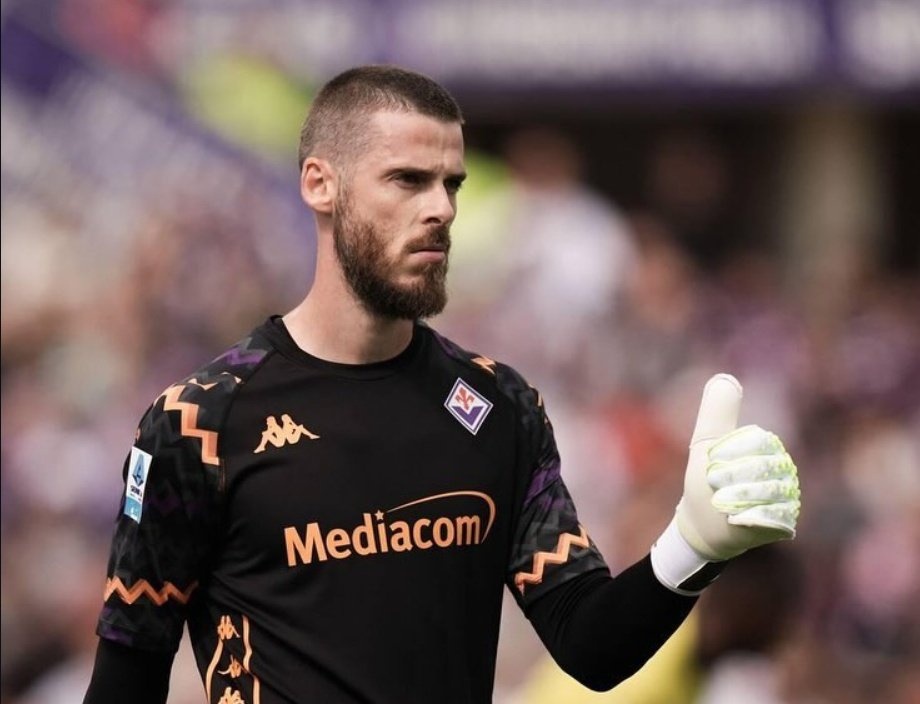 De Gea van con qua hay hinh anh