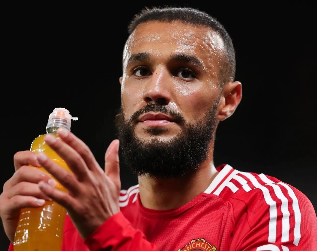 Di san cua Ten Hag hinh anh