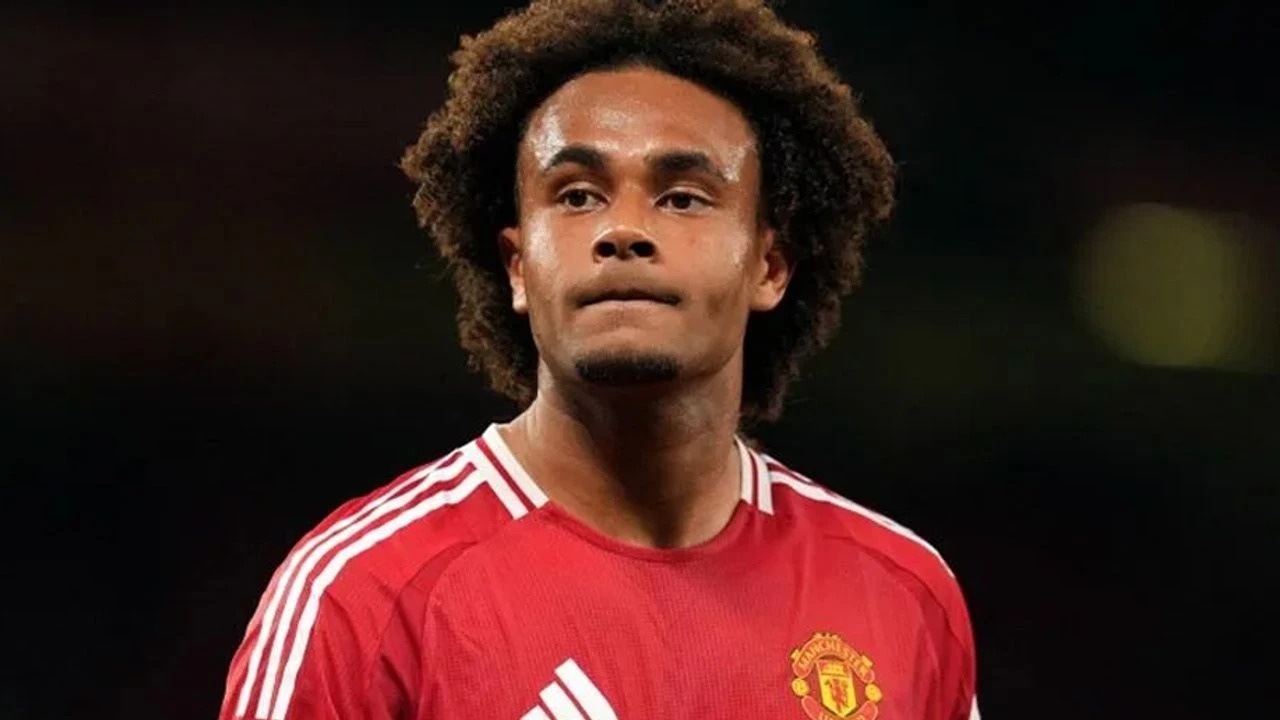 Tham hoa Zirkzee hinh anh