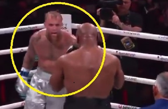 Jake Paul le luoi che nhao Mike Tyson hinh anh