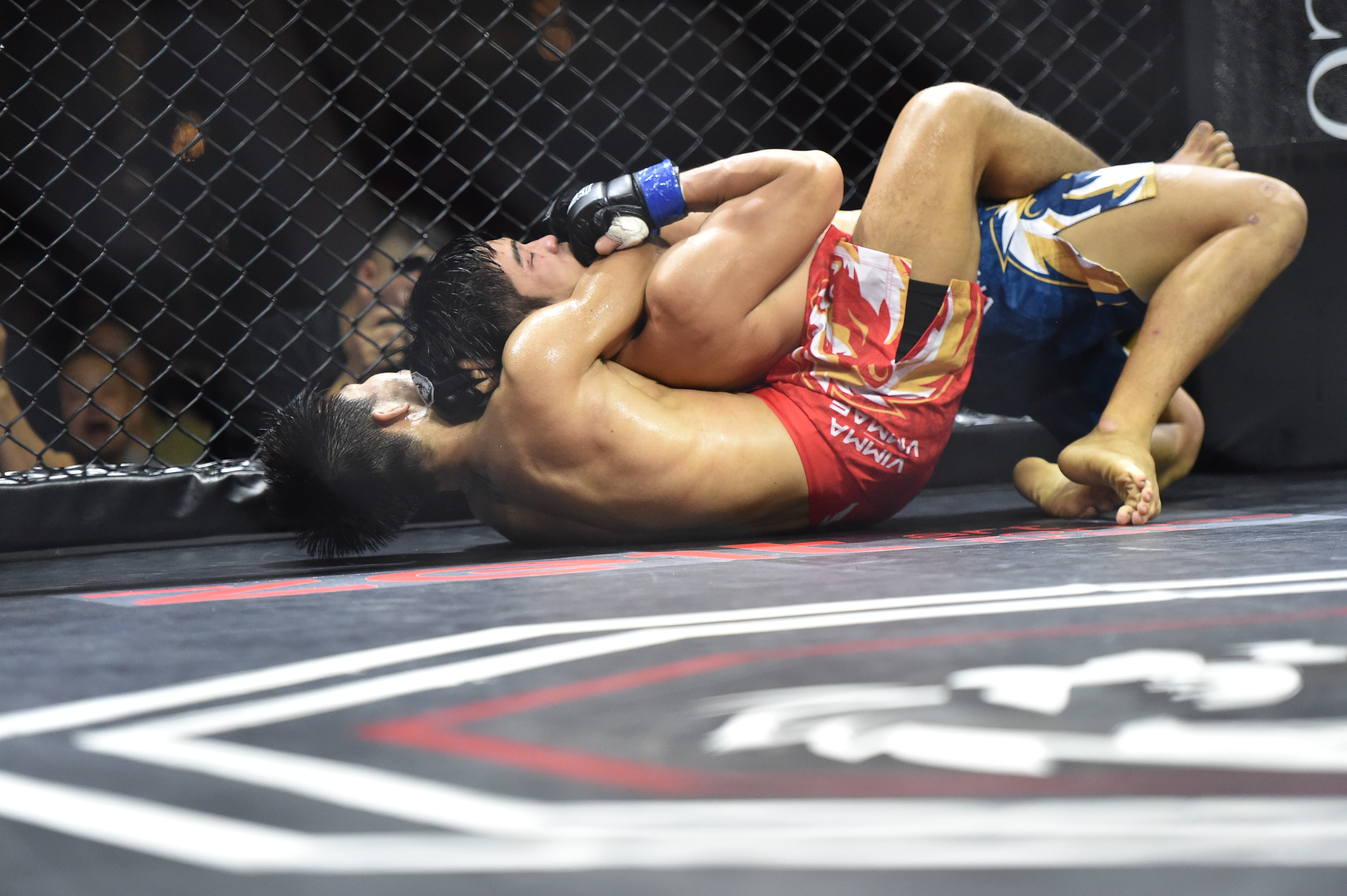 Vo si Viet that bai dang tiec, Armando gianh dai vo dich hinh anh