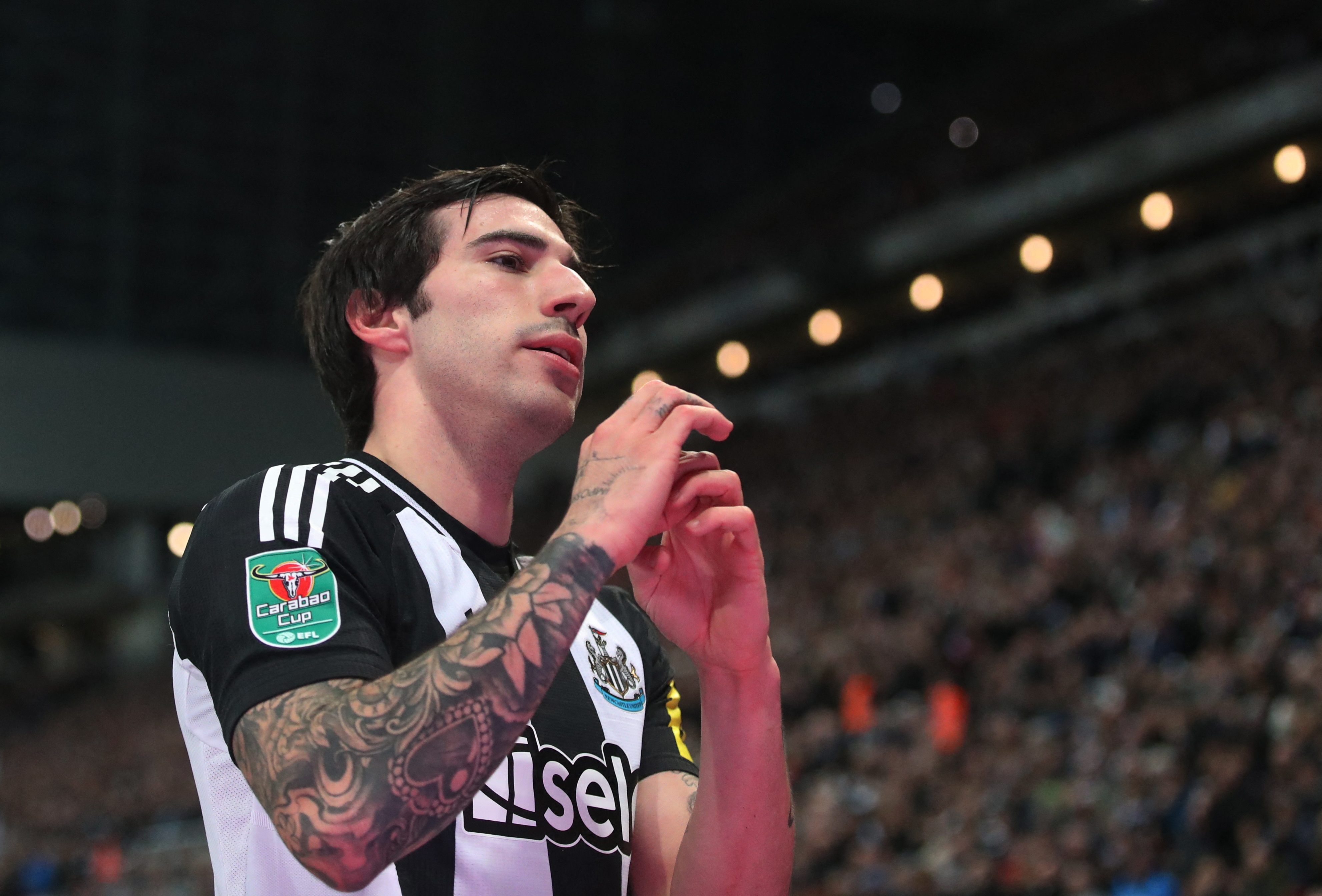 Tonali toa sang sau be boi ca do hinh anh