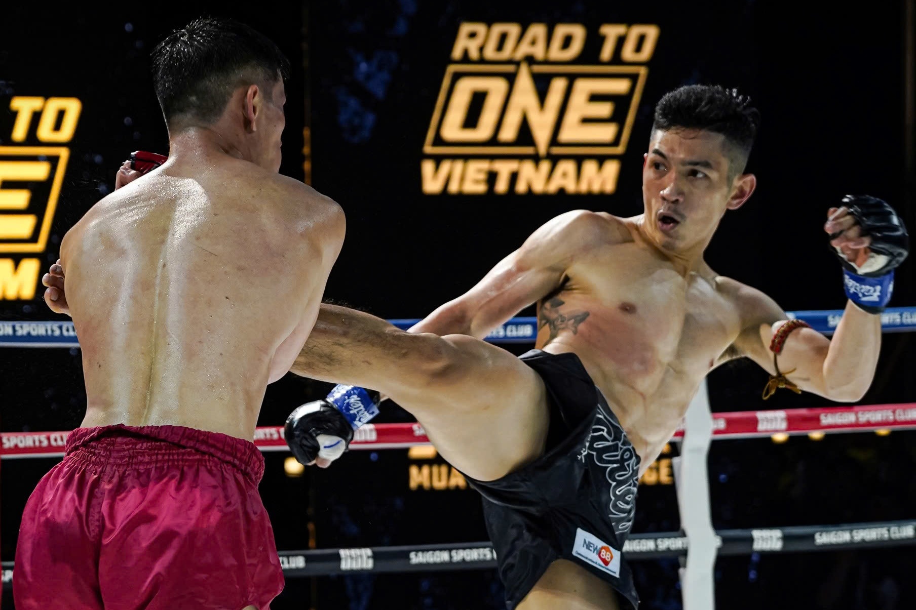 Hoang Phi va 'The Red Lion' sai canh tai Road To ONE: Viet Nam hinh anh