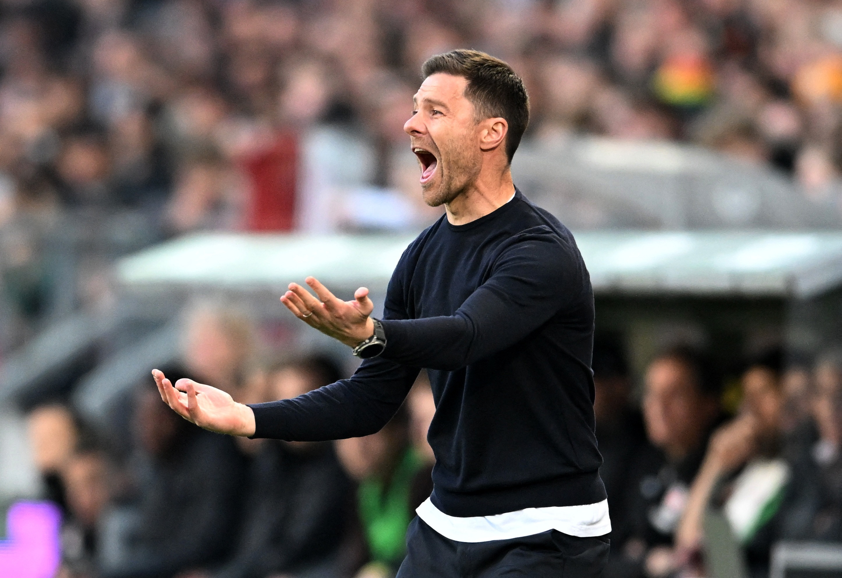 Het roi, Leverkusen hinh anh