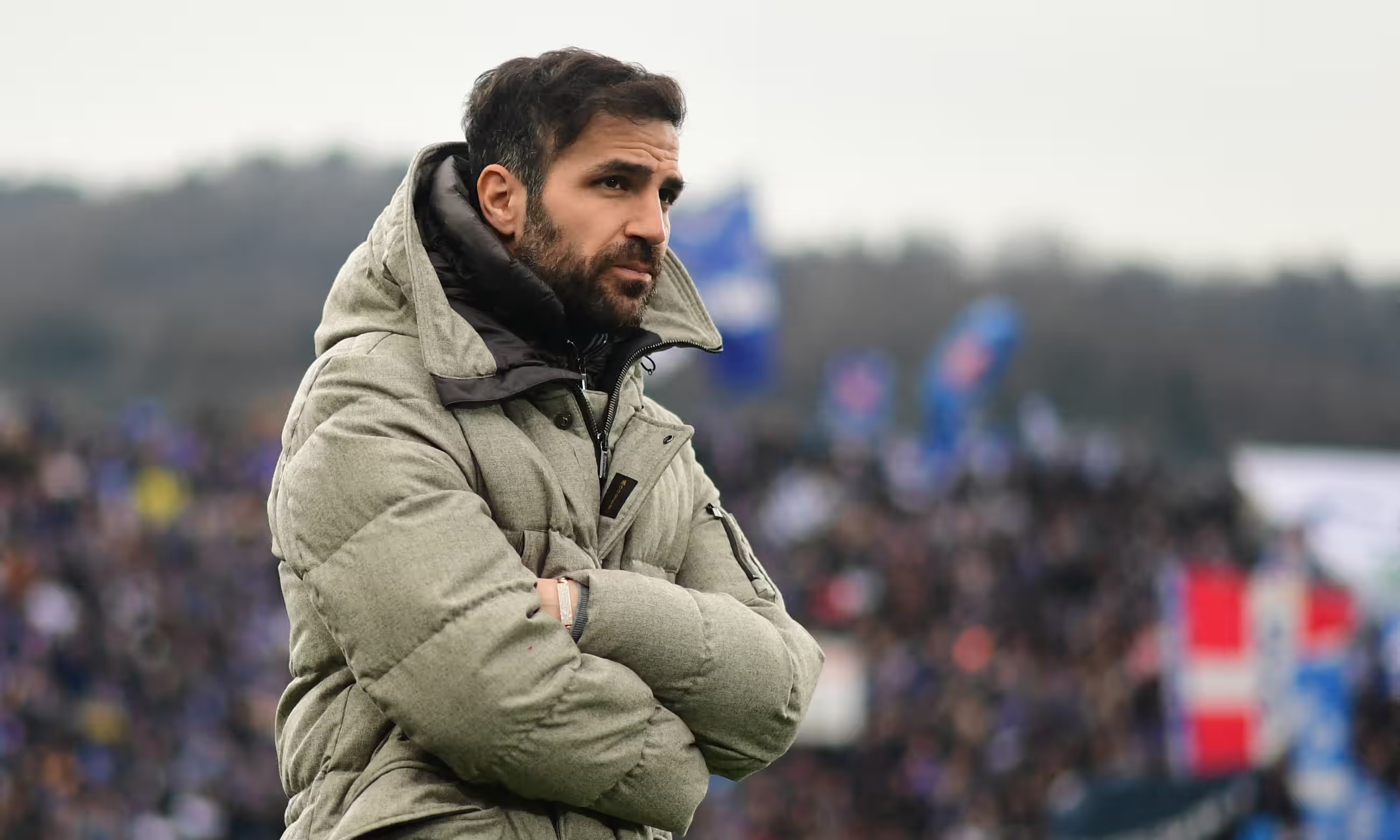 Cesc Fabregas anh 1
