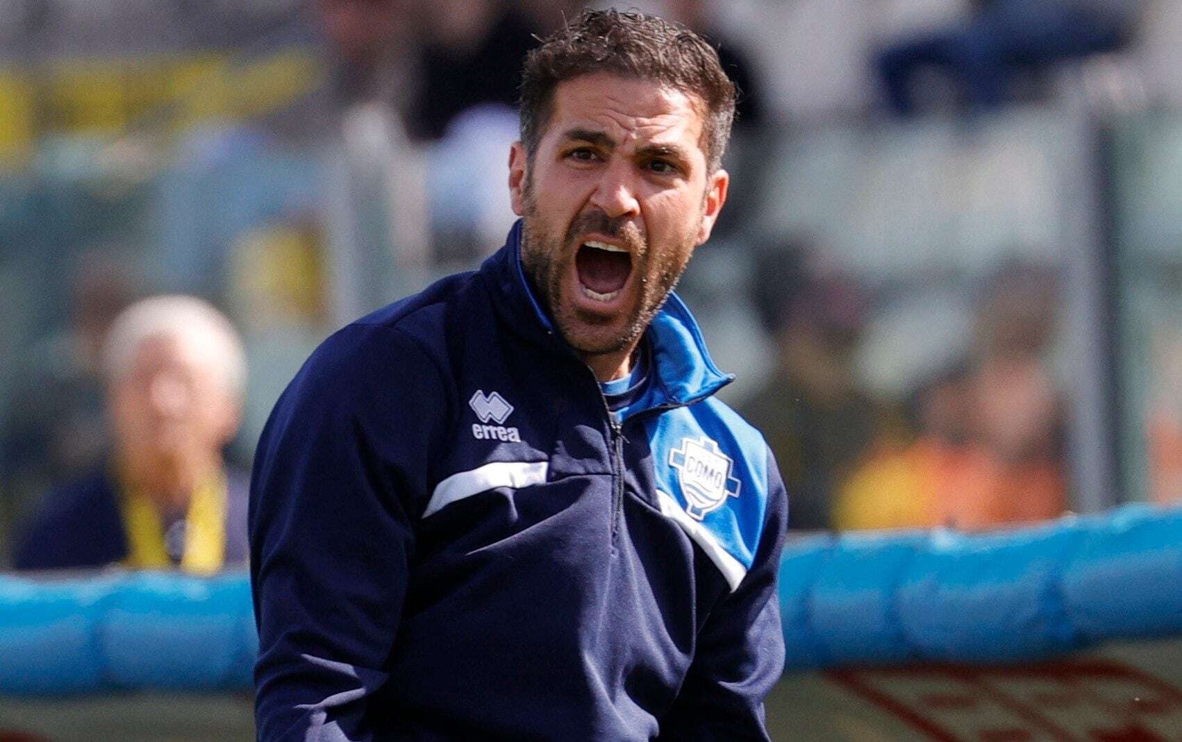 Fabregas se la 'Xabi Alonso 2.0'? hinh anh