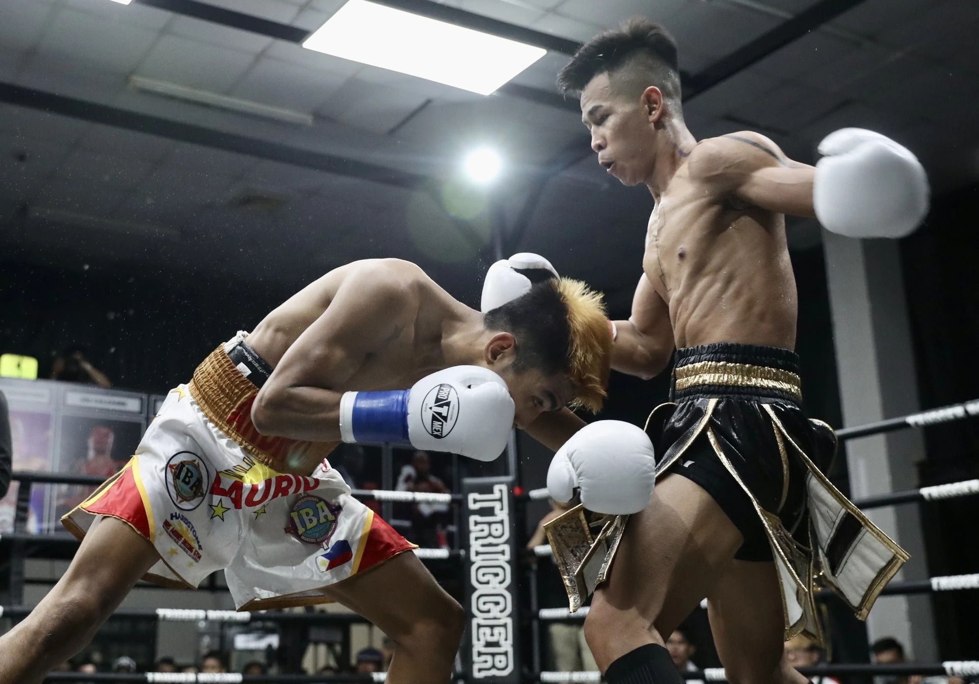 Tran Van Thao lo hen voi dai WBO chau A hinh anh