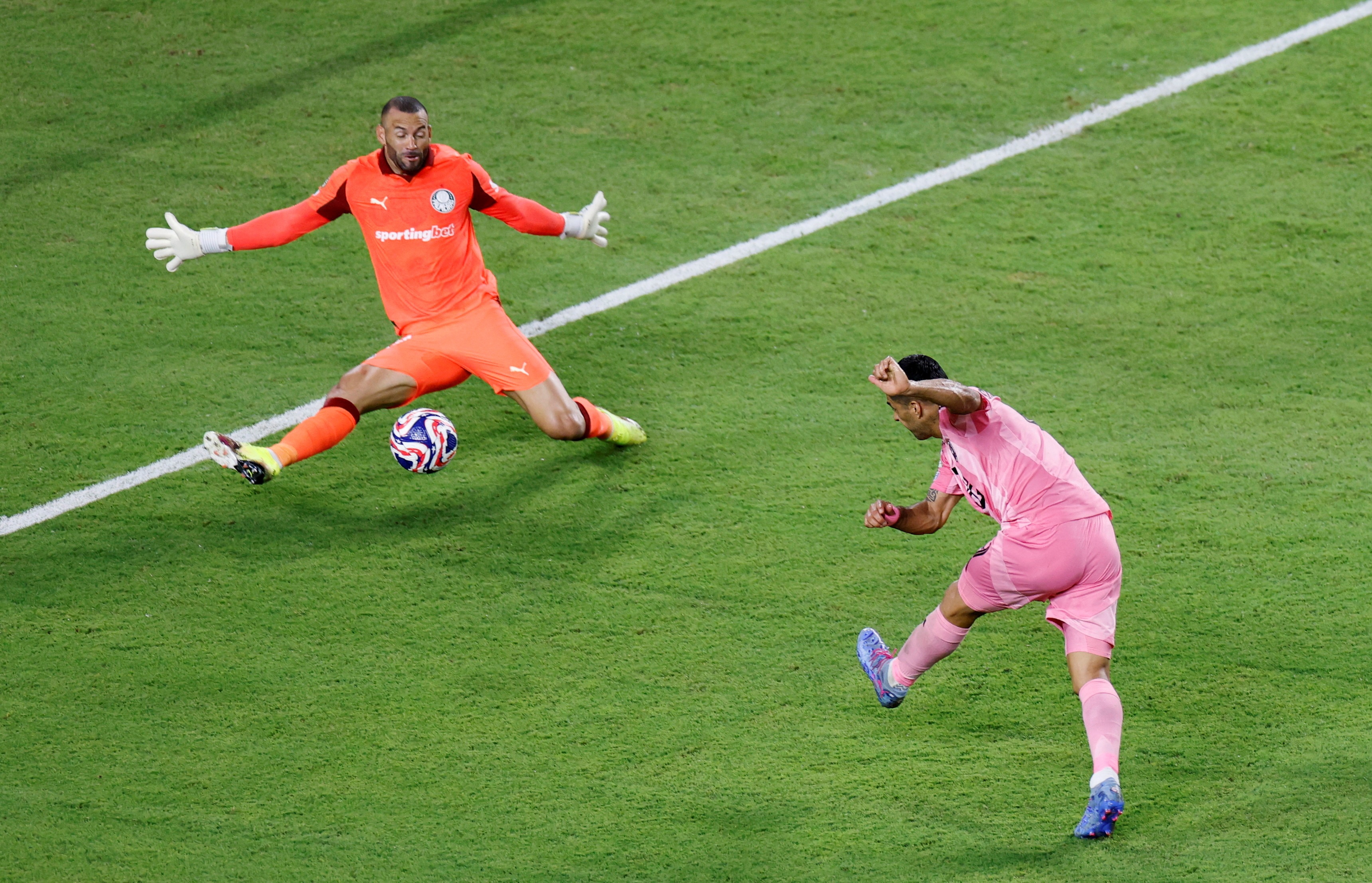 Luis Suarez anh 1
