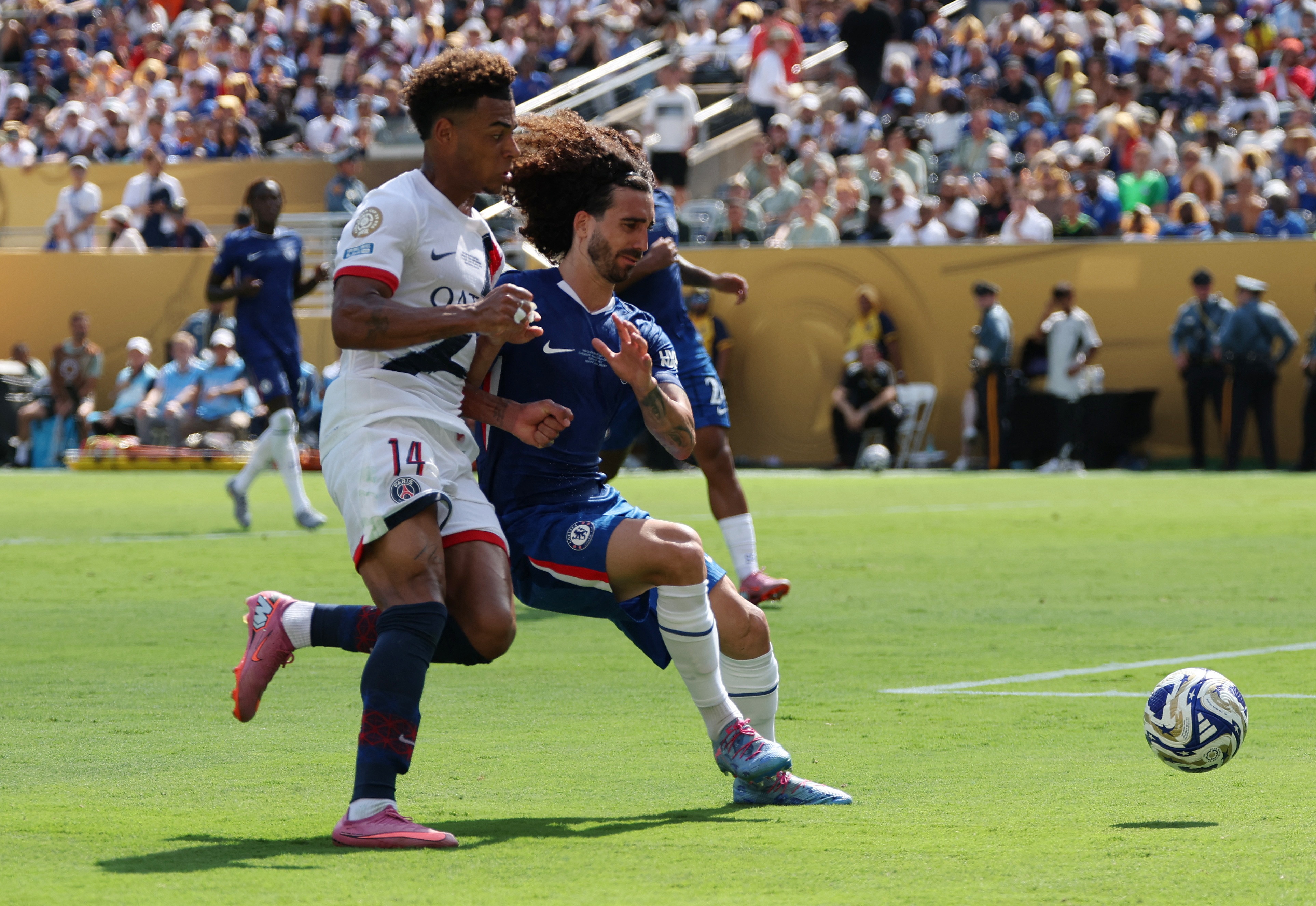 Cucurella thanh ong chu canh trai the gioi hinh anh