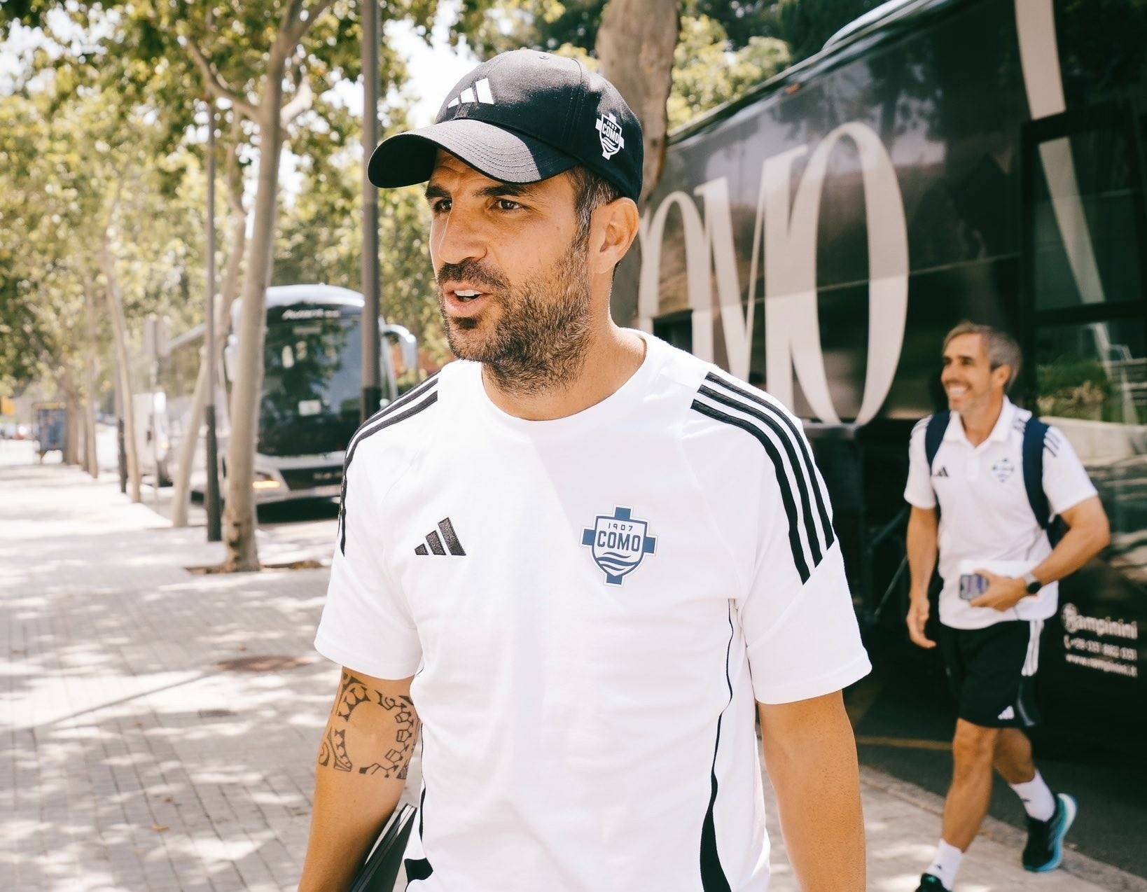 Fabregas anh 1