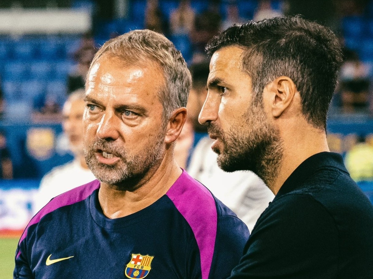 Fabregas nhan bai hoc dat gia hinh anh